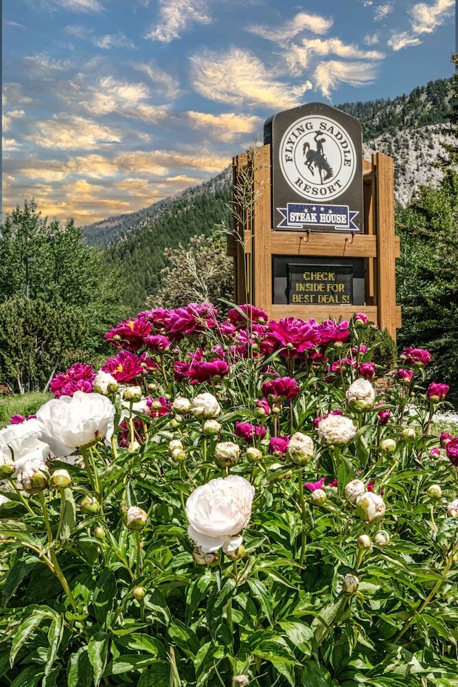 Фото Flying Saddle Resort