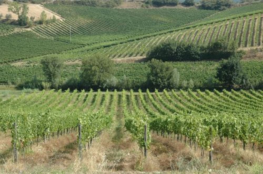 Фото Agriturismo Musignano