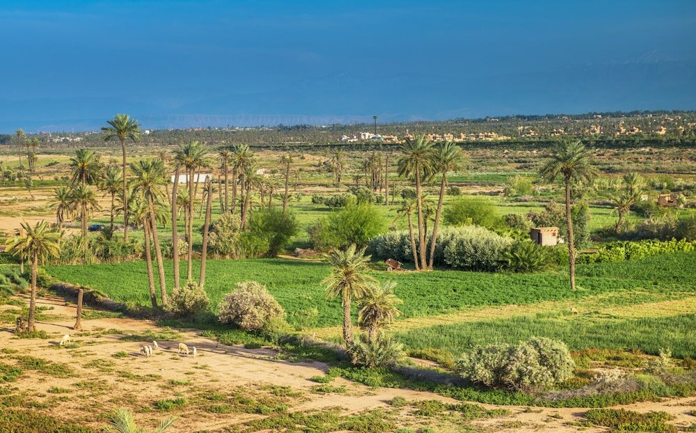 Фото Caravan Serai