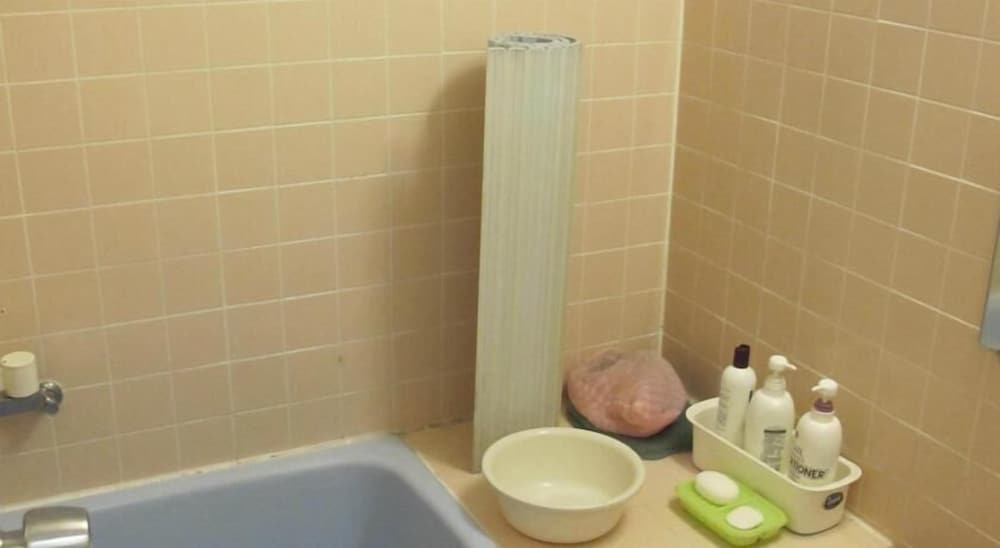 Фото Narusawa Lodge