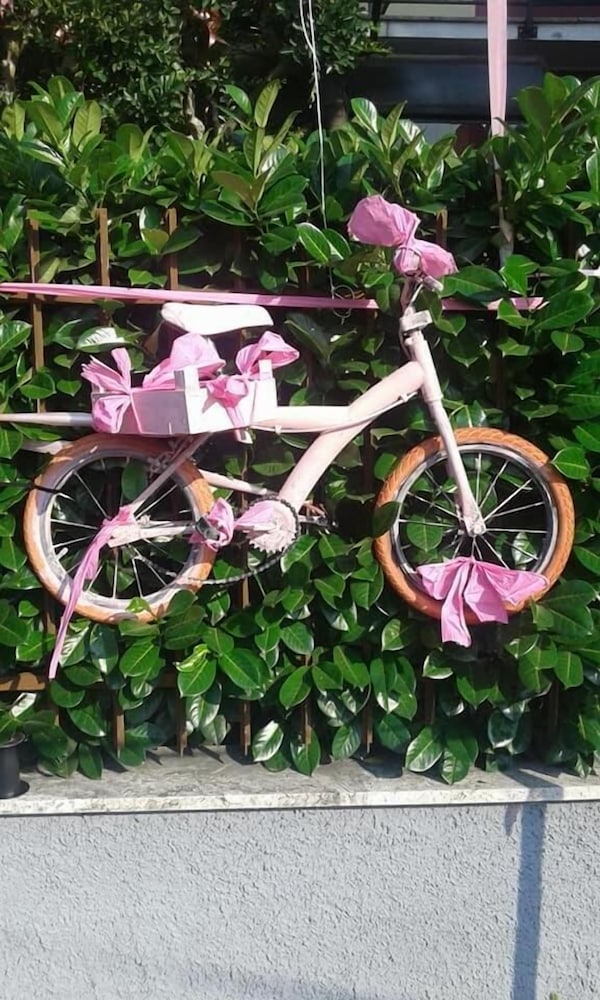 Фото Albergo Renato