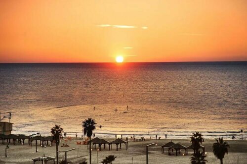 Гостиница Brown Beach House Hotel в Тель-Авиве