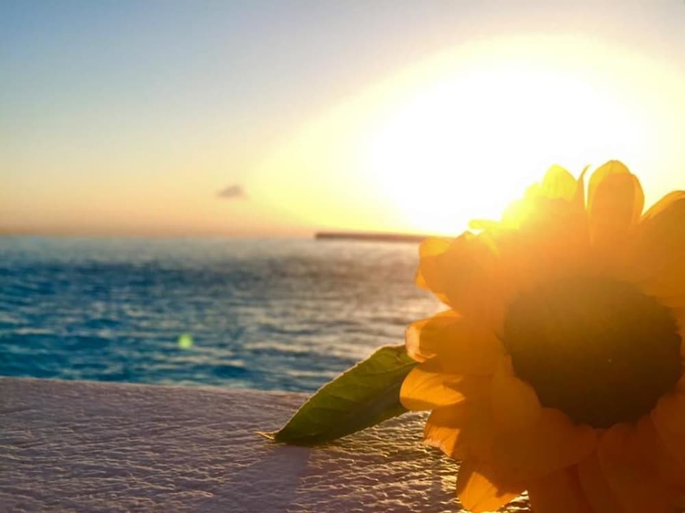 Фото Manolia View Mykonos