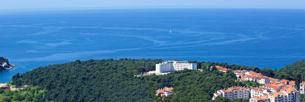 Фото Boutique Hotel Villa Vulin