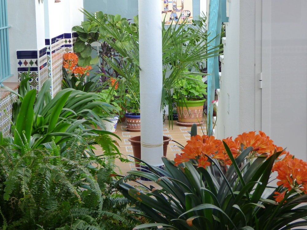 Фото Hostal Campo Nuevo