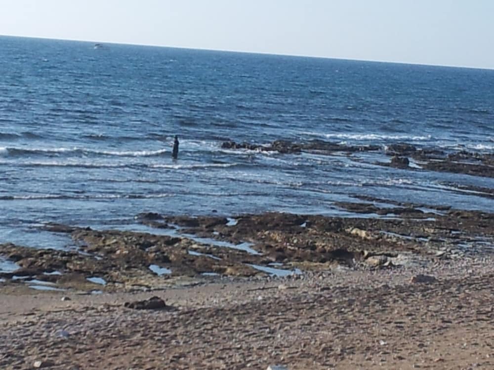 Фото Hof Hacarmel Apartments