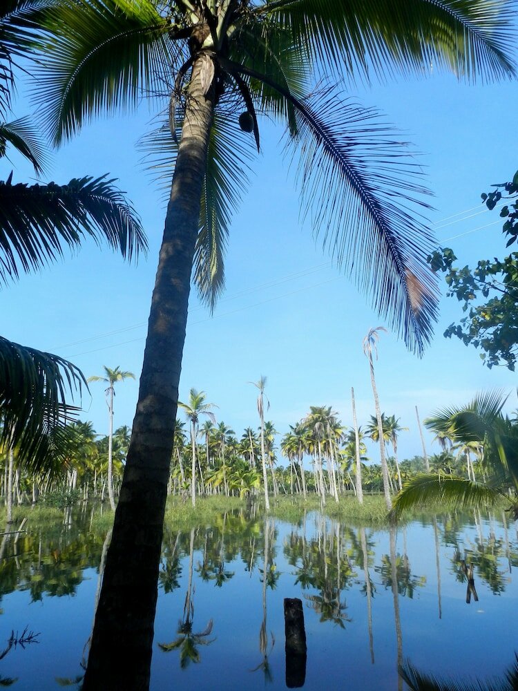 Фото Havelia Island Resort