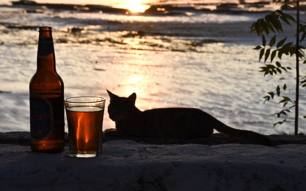 Фото Bella Vista Resort Zanzibar