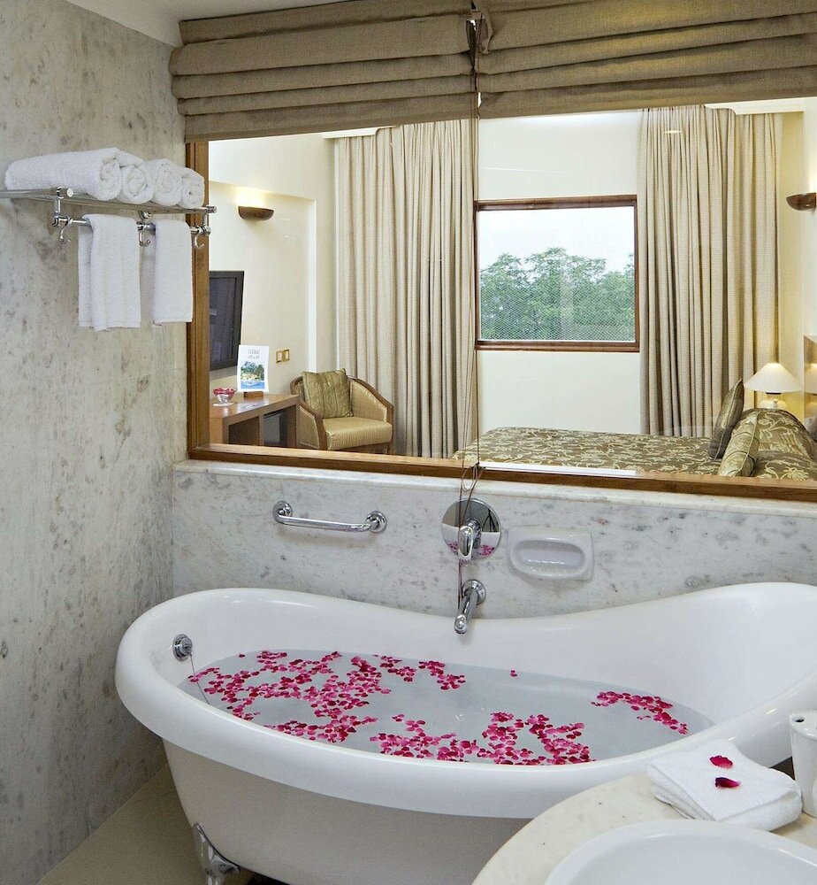 Фото Clarks Amer