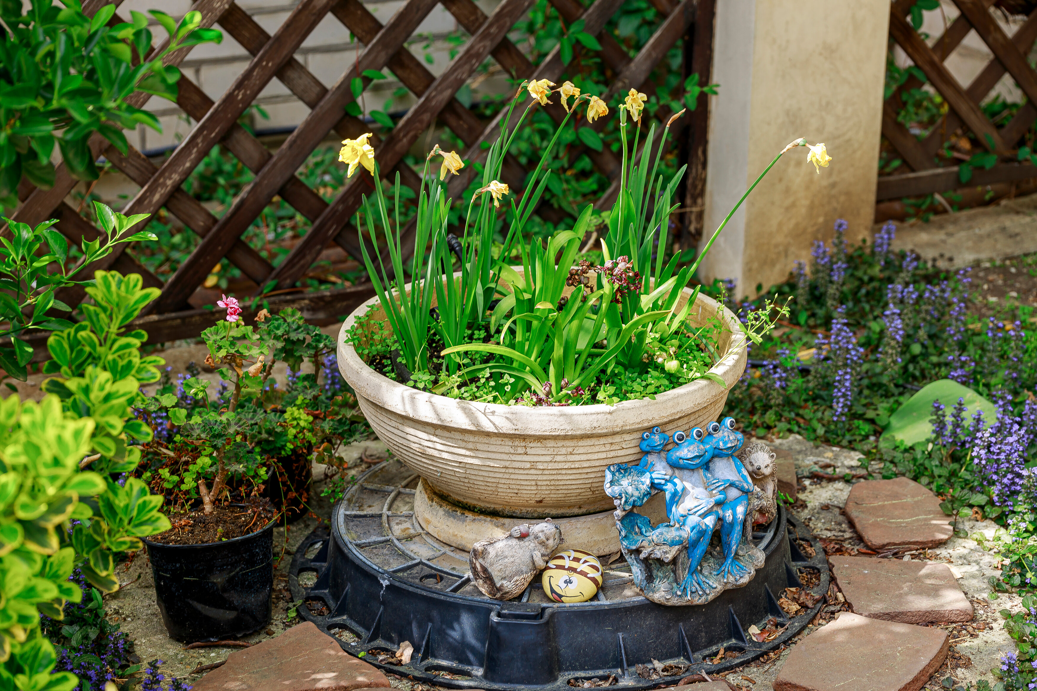 Фото На южном