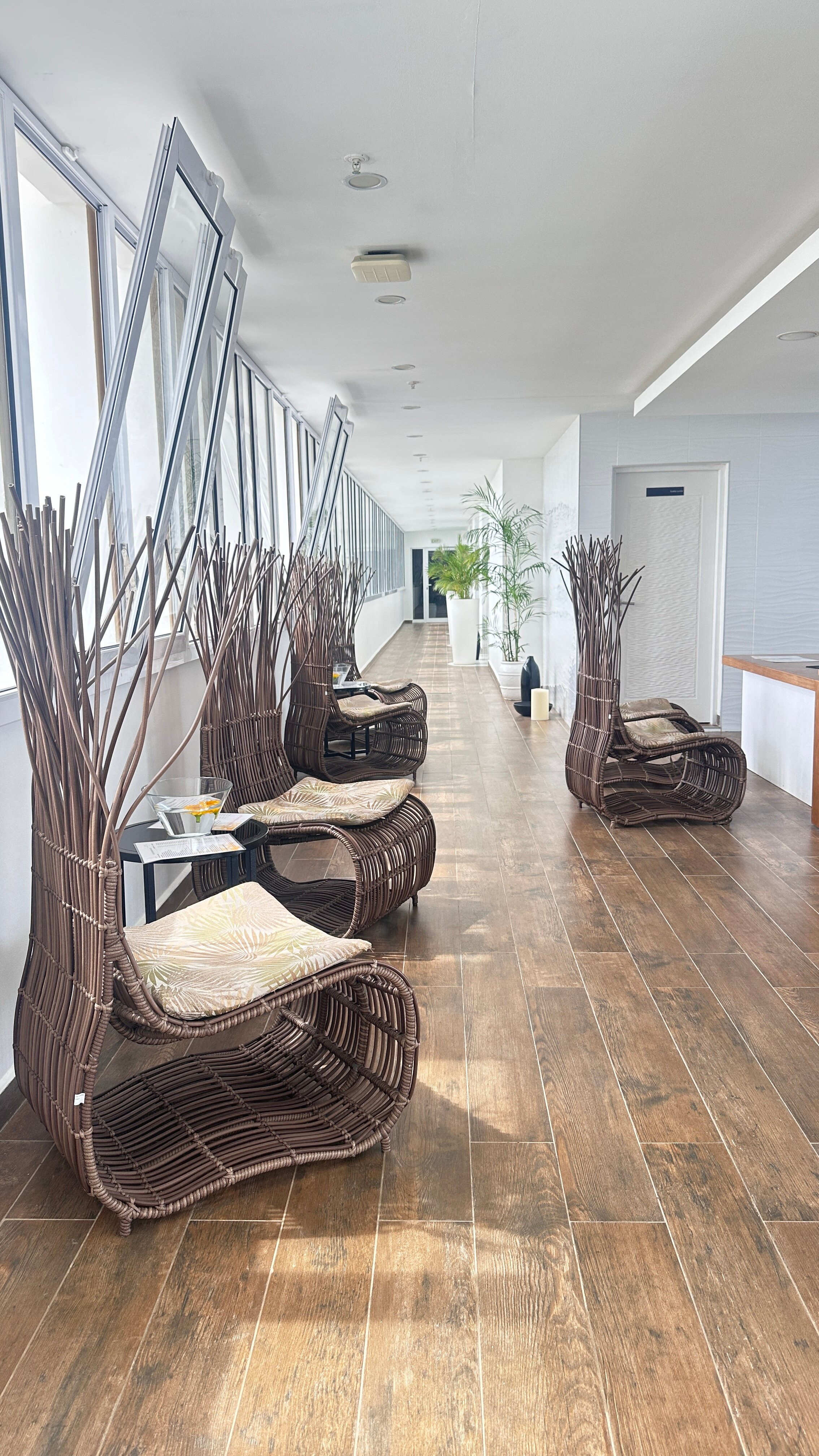 Фото Melia Internacional