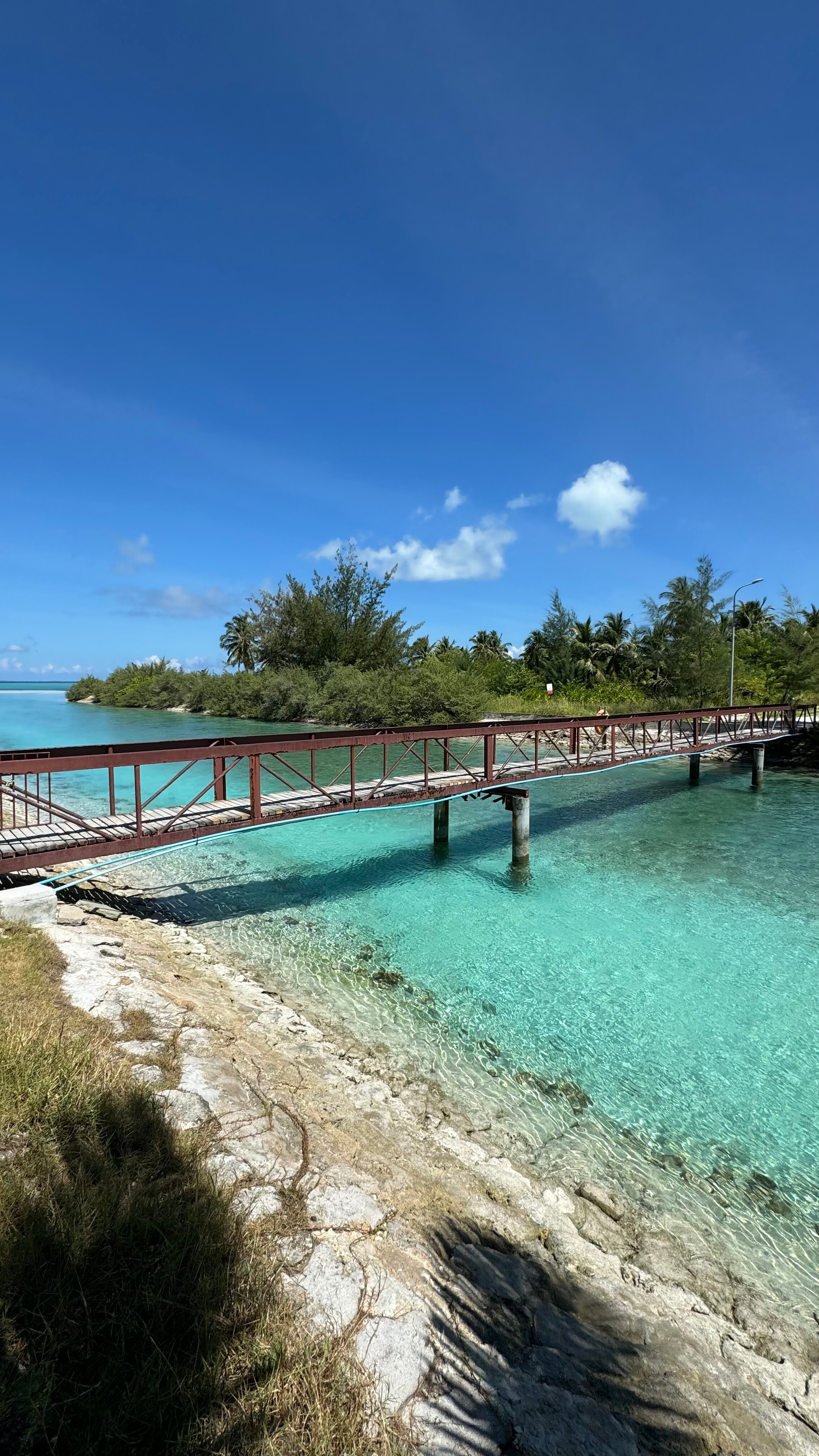 Фото Canareef Resort Maldives
