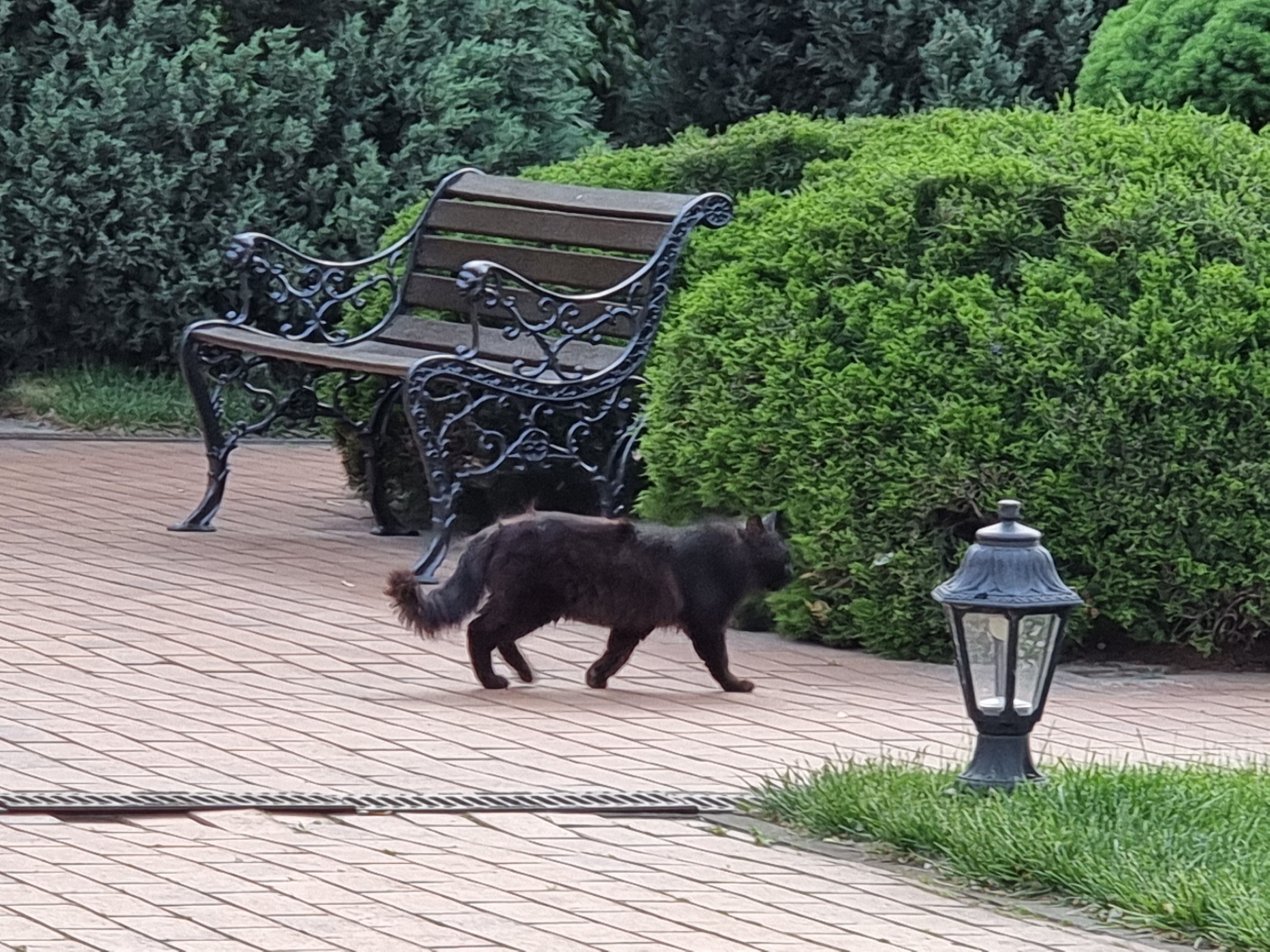 Фото Жардин