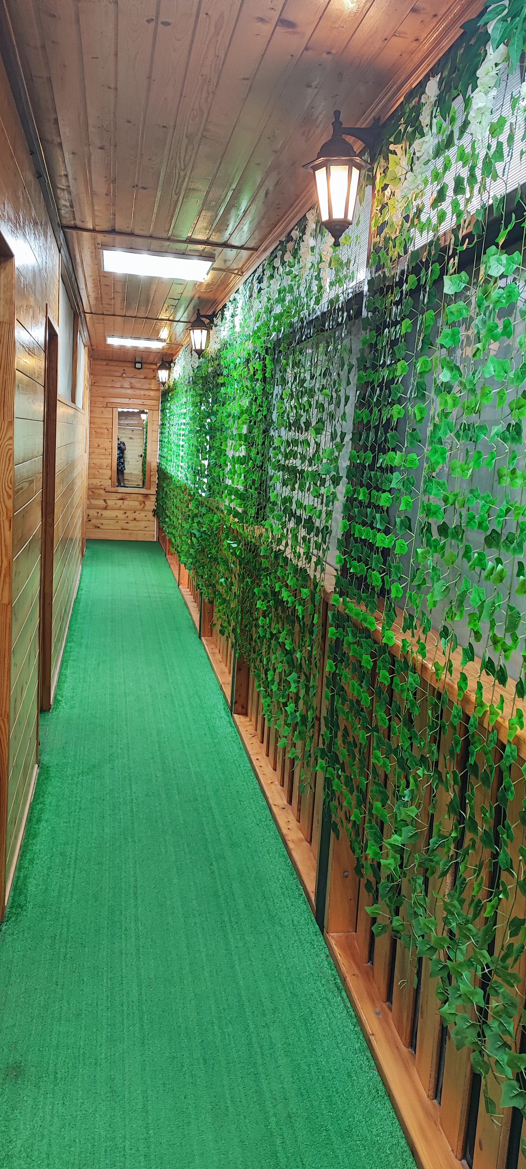 Фото Форест