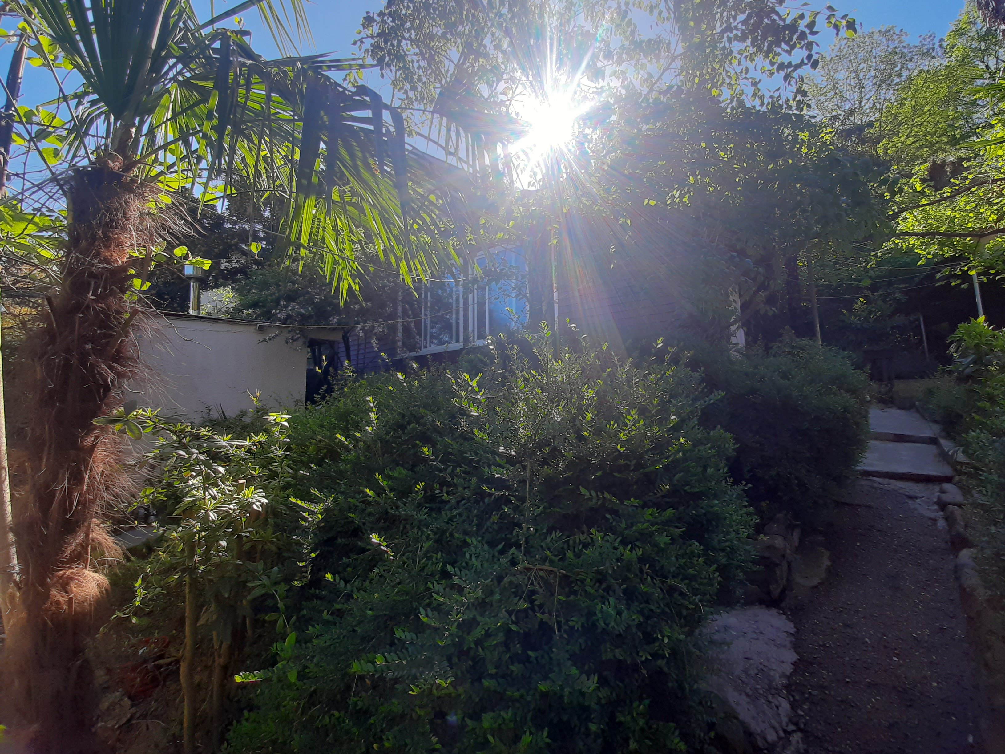 Фото Тихий дворик