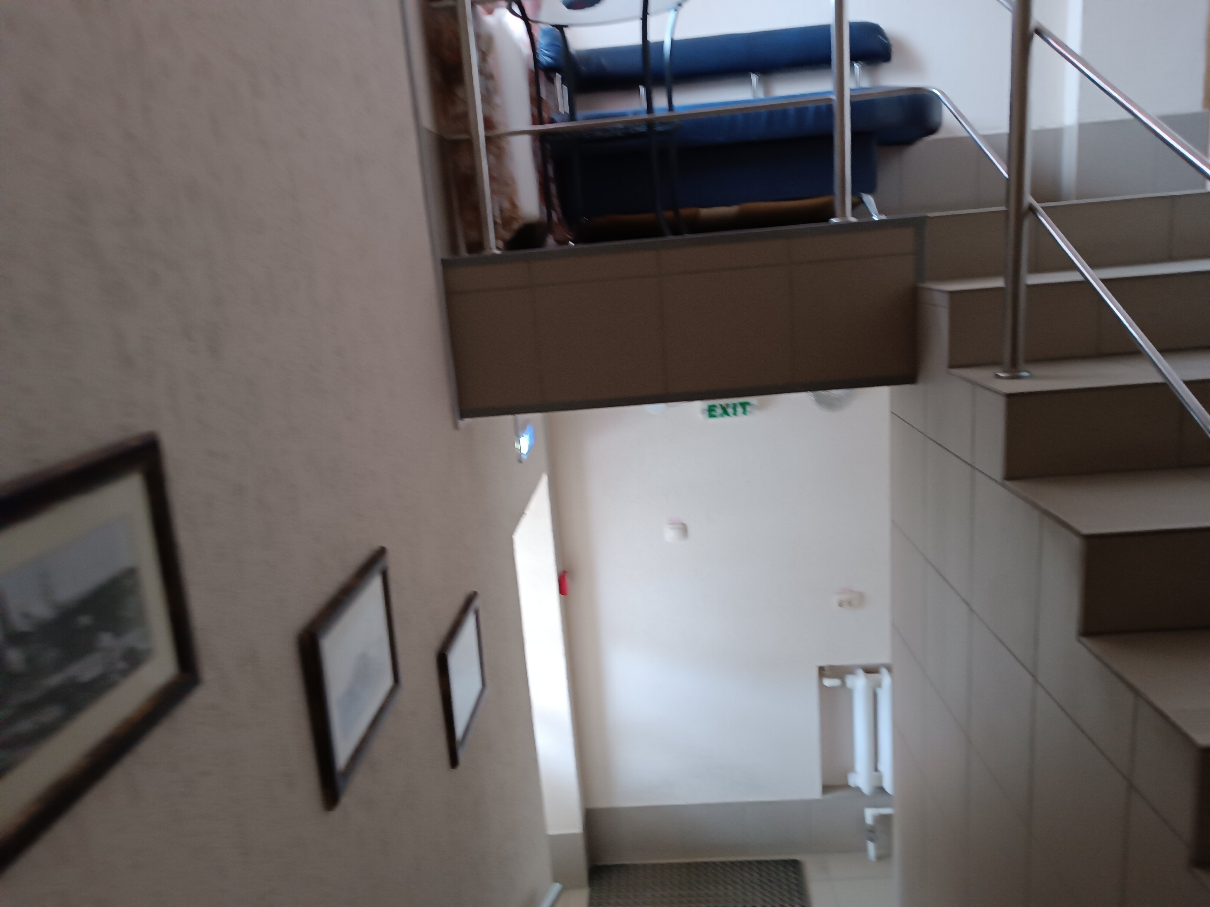 Фото Старый соболь