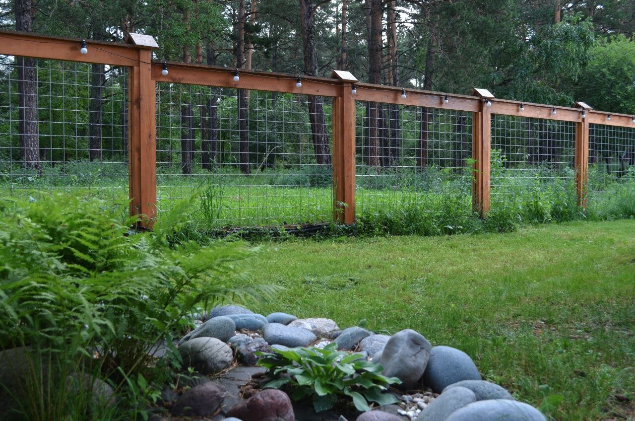 Фото Лес ДО небес