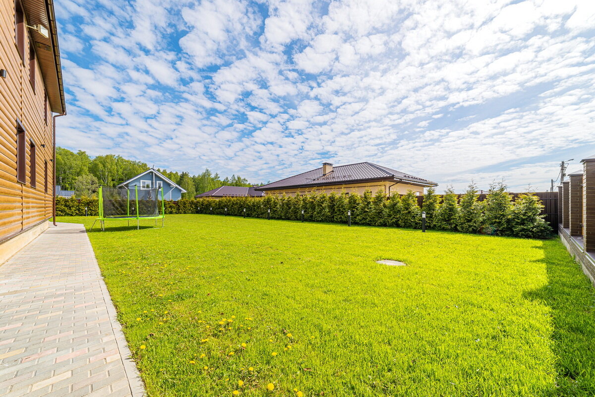 Фото Дельфин