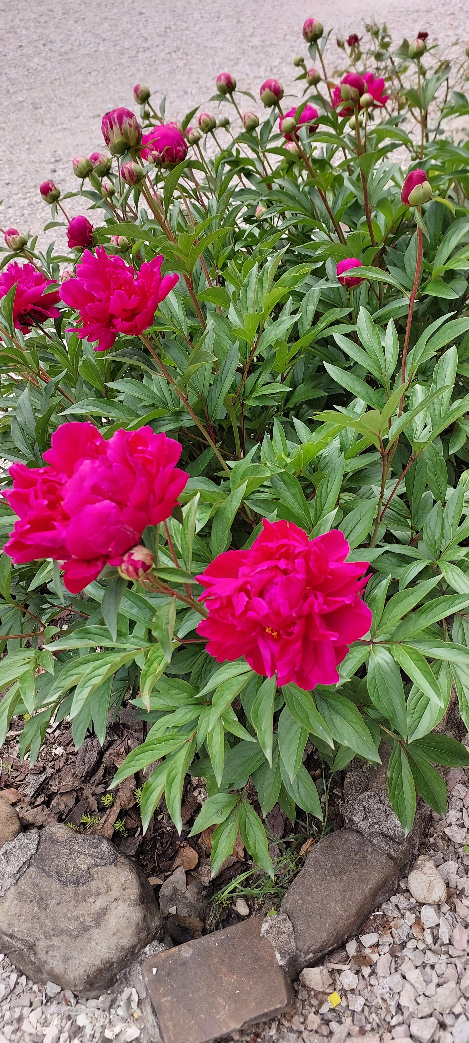 Фото Эко Парк Вотчина