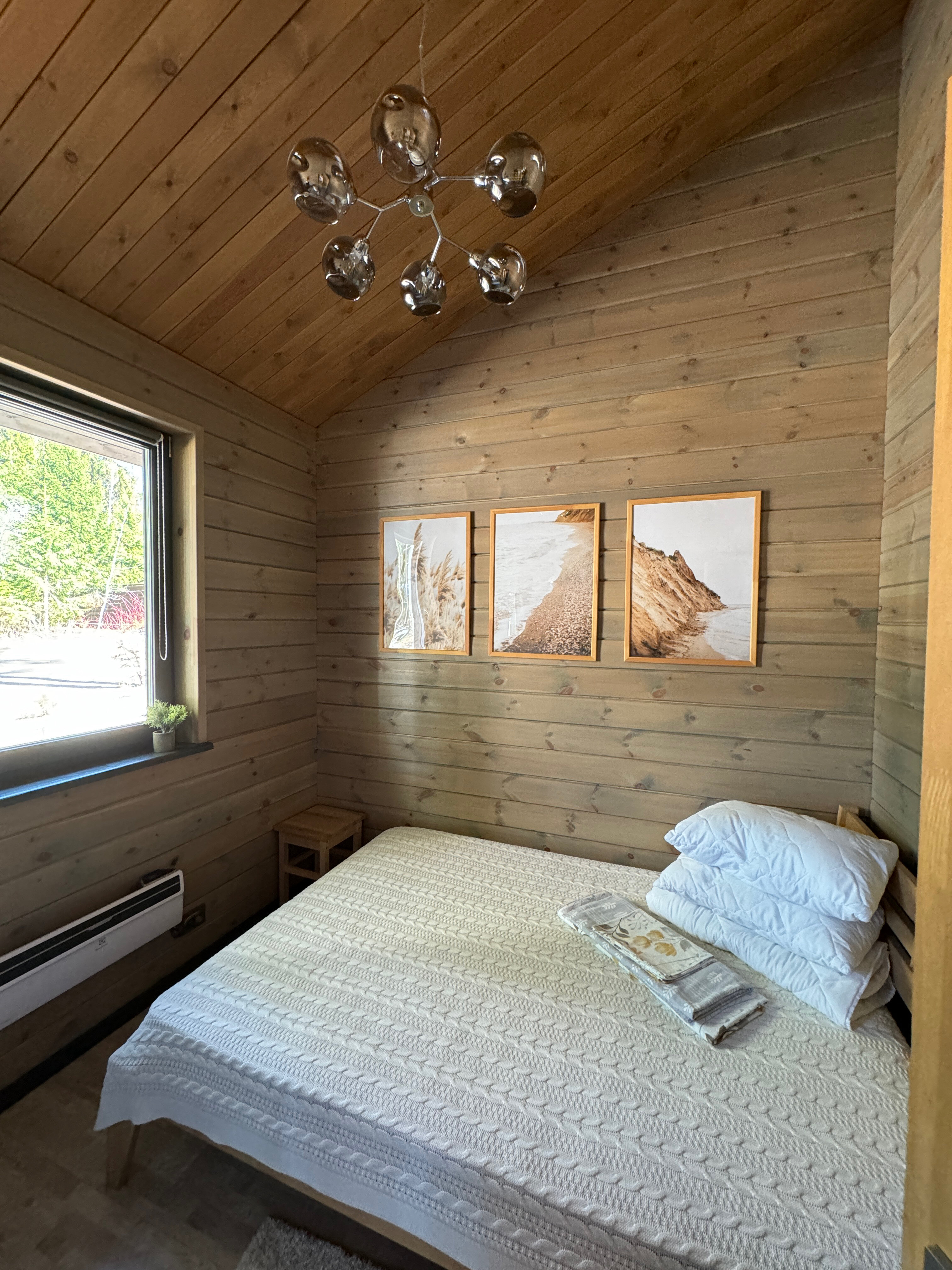 Фото Smell Of The Forest