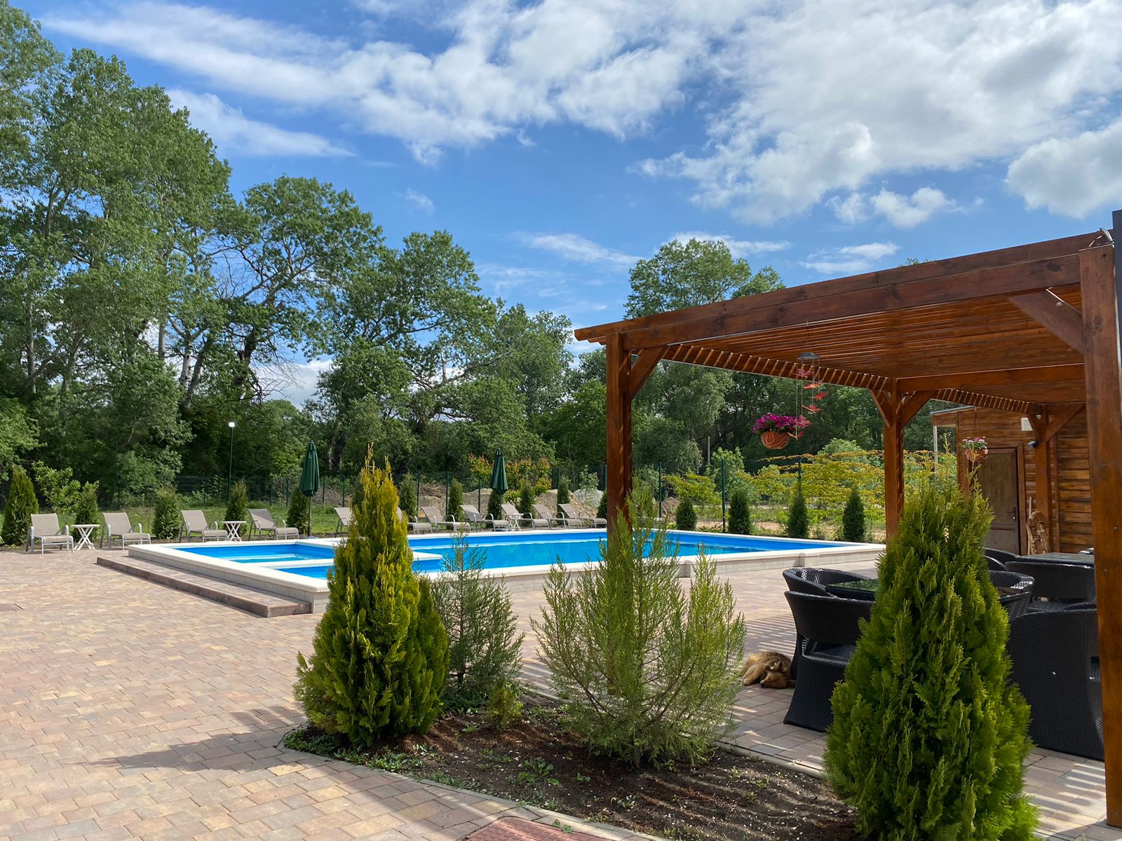 Фото Кипарис