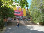 Dorinta (Moscova Boulevard, 19) ، مكتبة