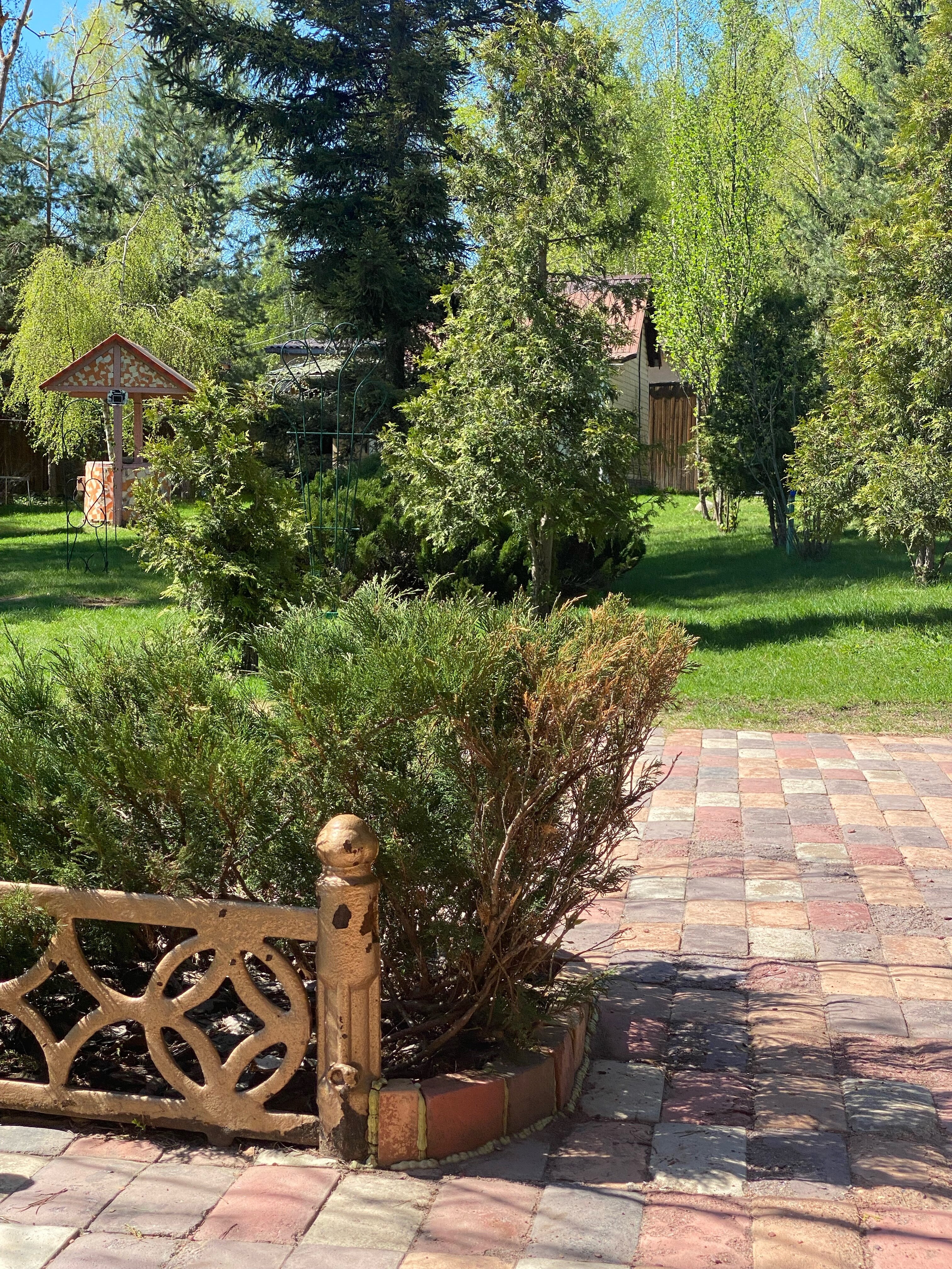 Фото Ореховый рай