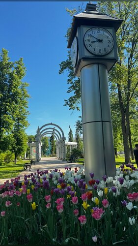 Стюардессаның порно фото галереясы