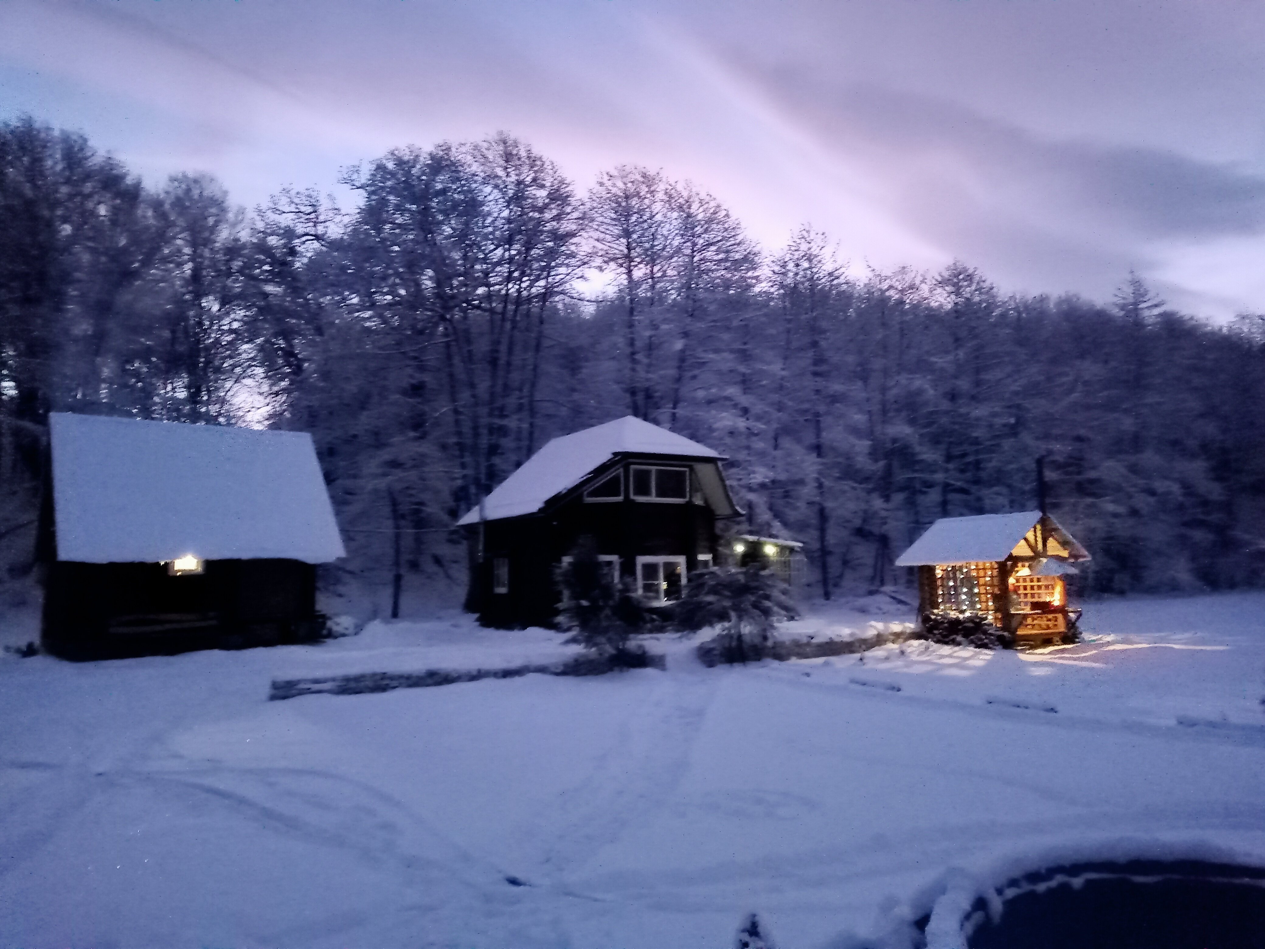 Фото Дикий дом