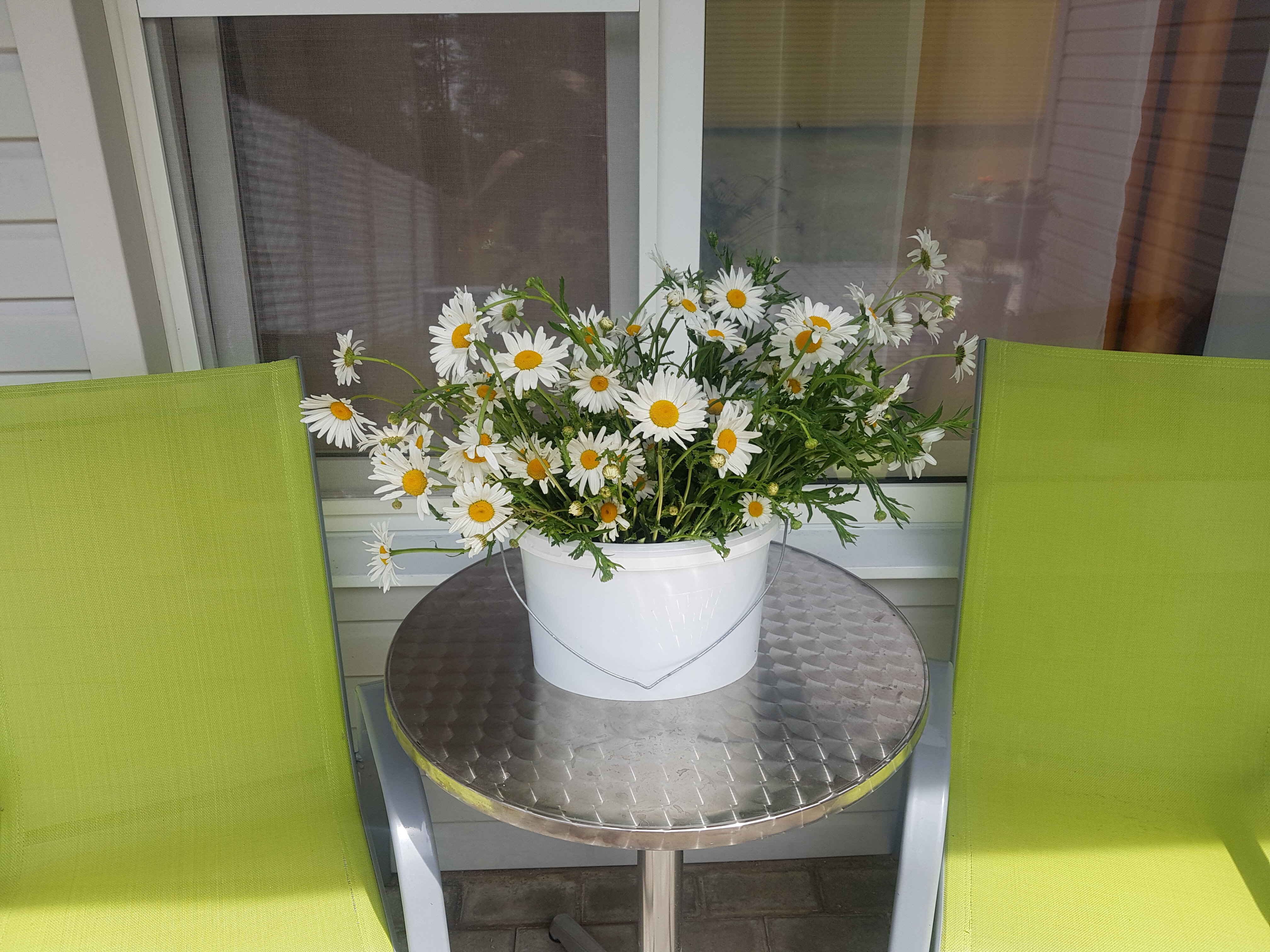 Фото На Заячьей поляне