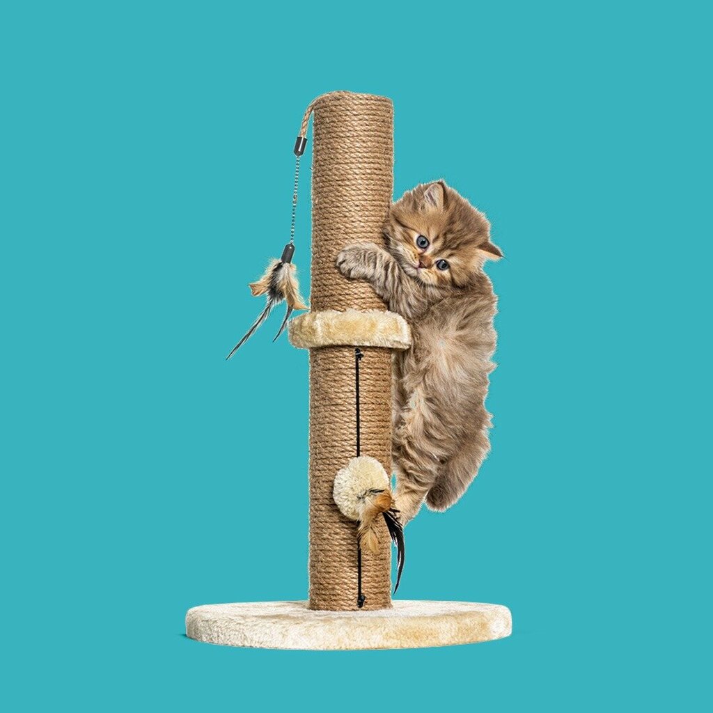 متجر للحيوانات الأليفة سوبر بتس - SuperPets ، مكة المكرمة، صورة