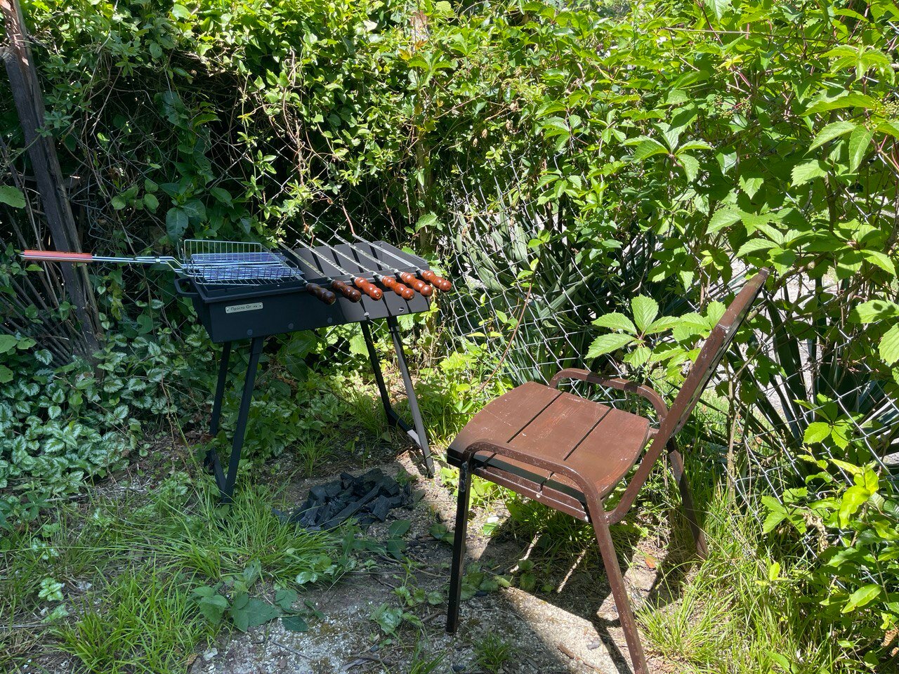 Фото Одиссея