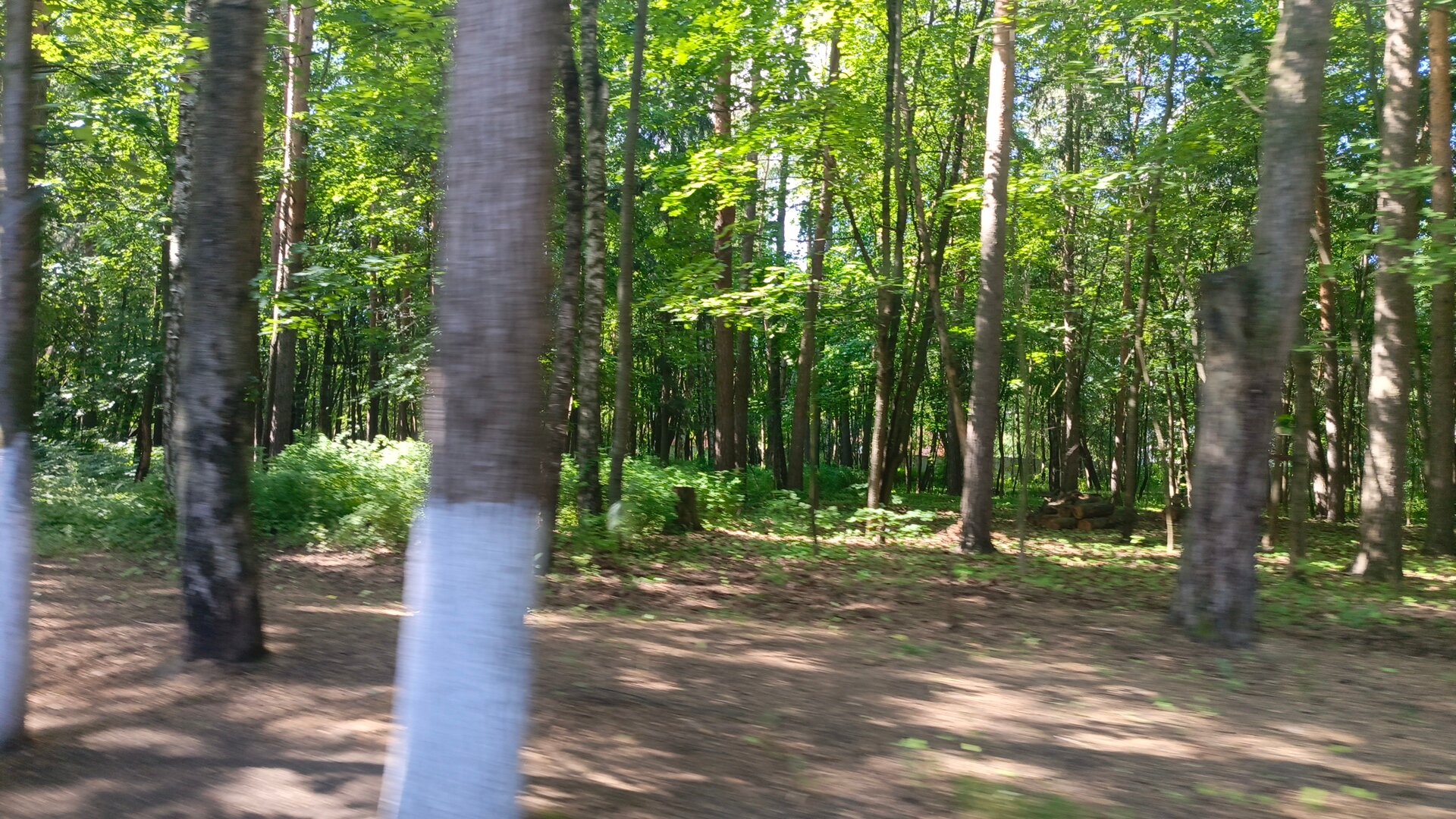 Фото Санаторий-профилакторий Лесной Дворик