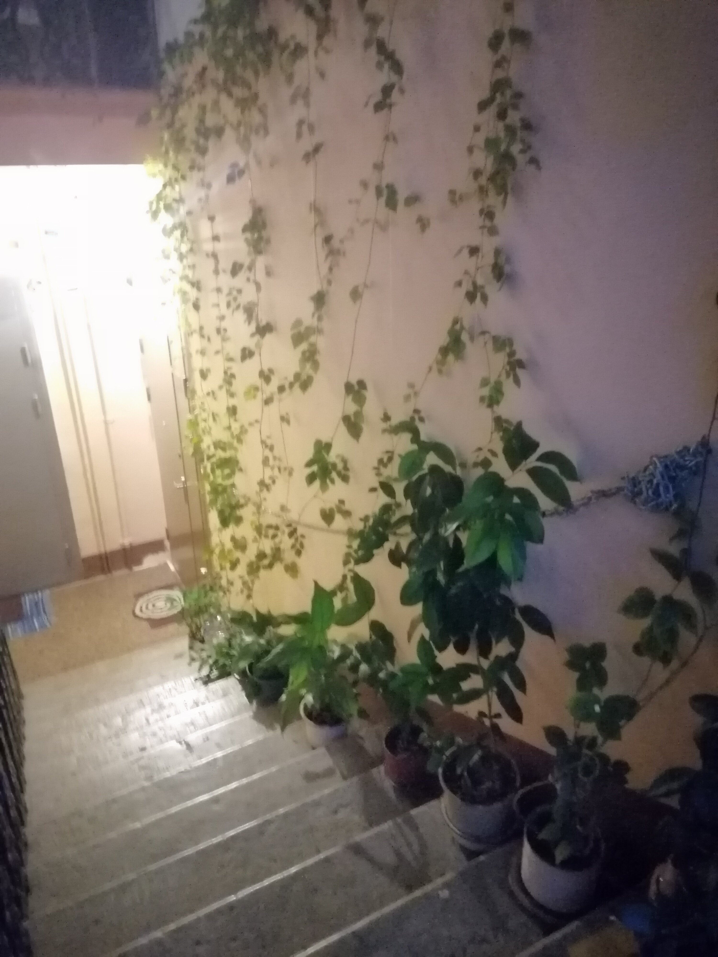 Фото Русская Сказка