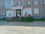 Vse dlya zhivotnykh (Krasnoarmeyskaya ulitsa, 151), pet shop