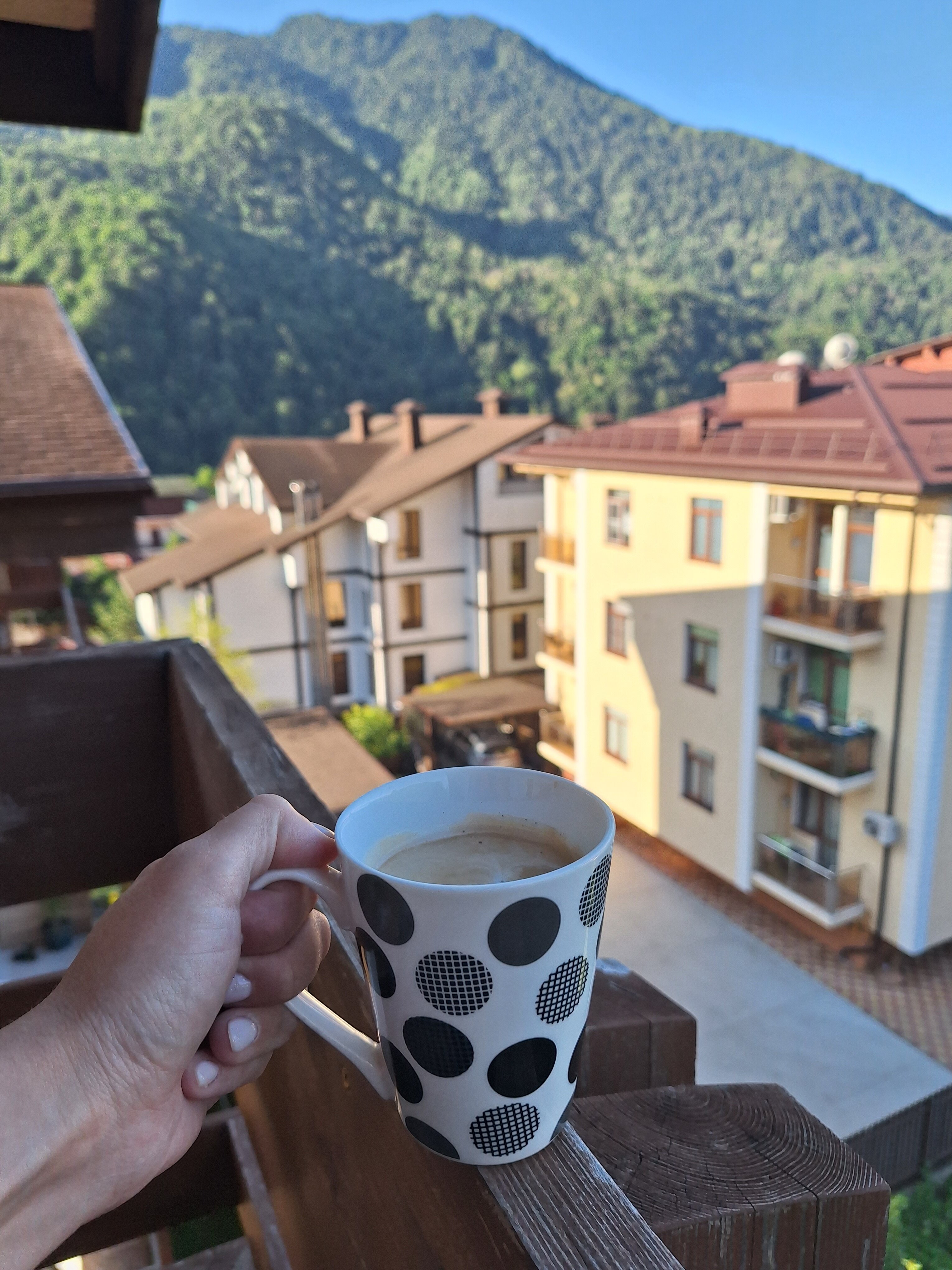 Фото Апартаменты с видом на горы