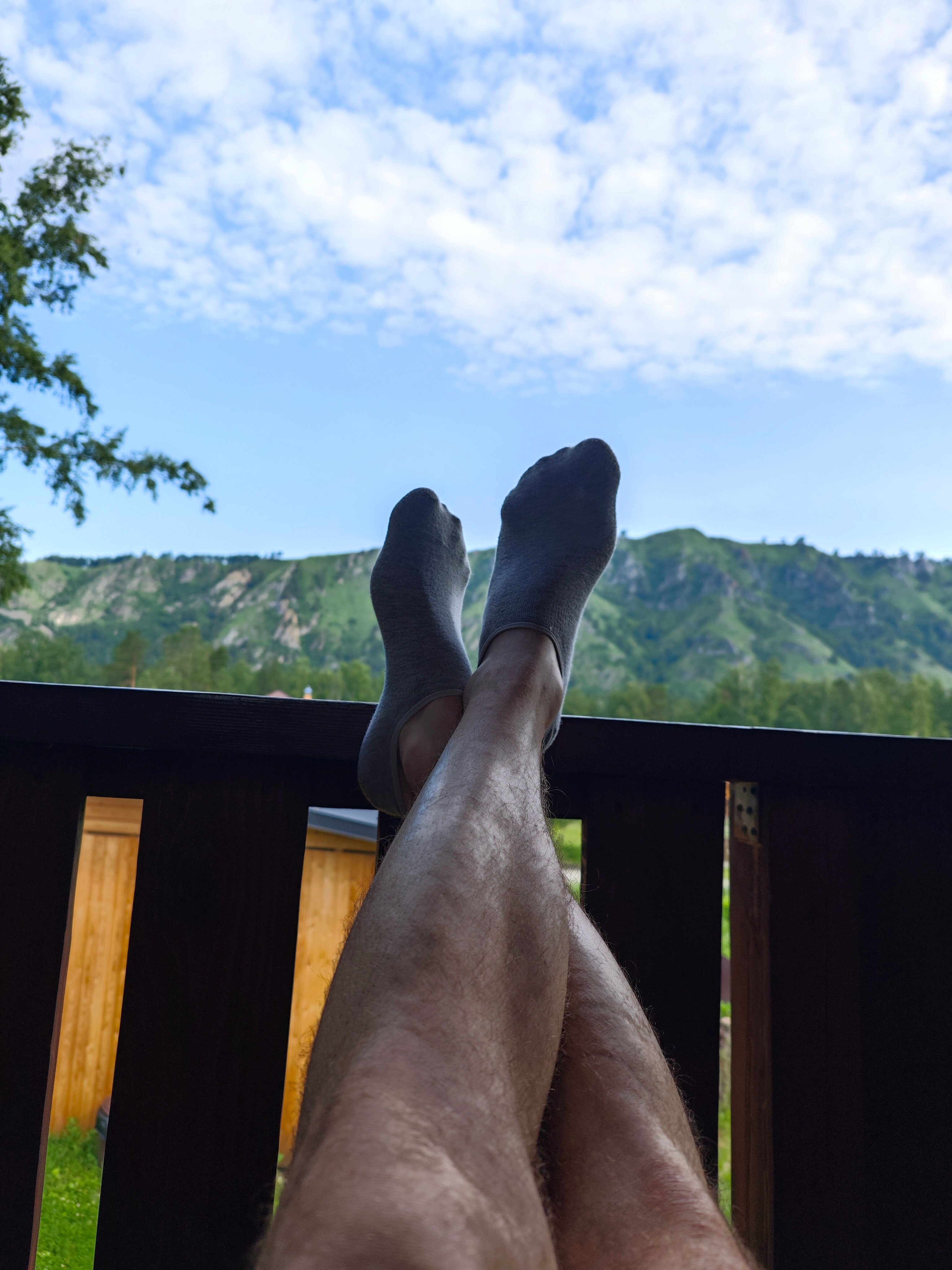 Фото Алтай Лэнд