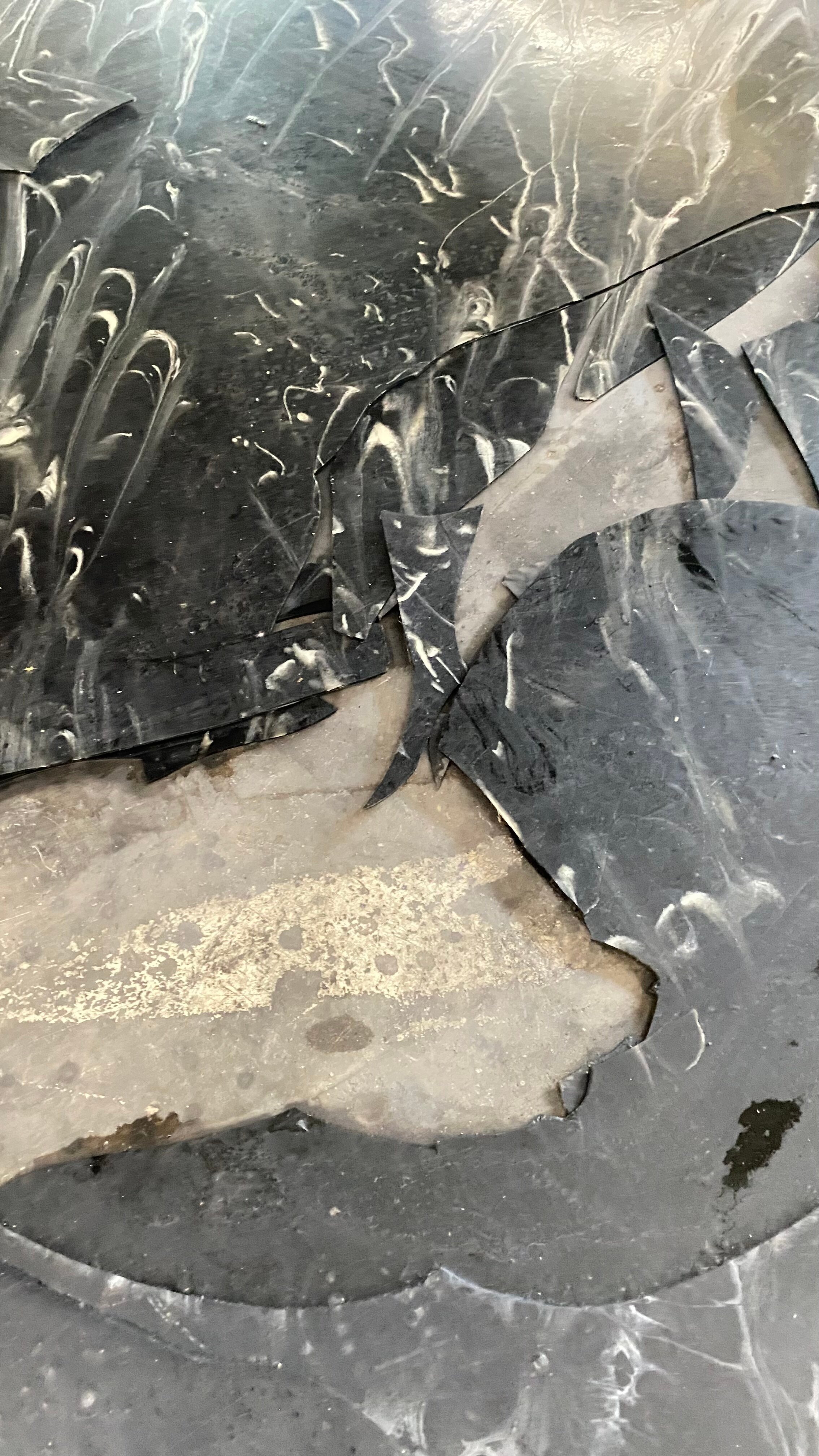 Фото Золотое крыло