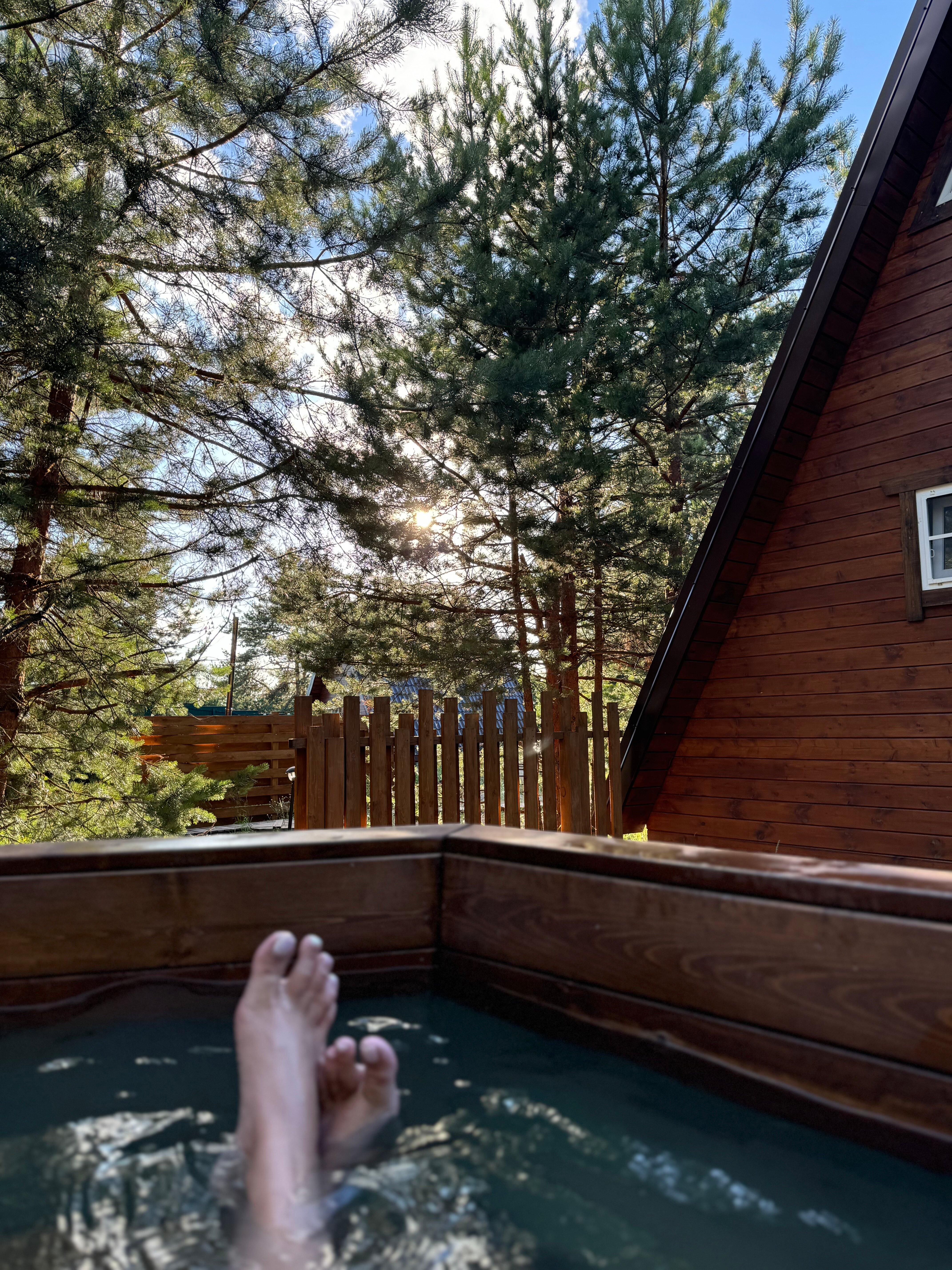 Фото Мишкино