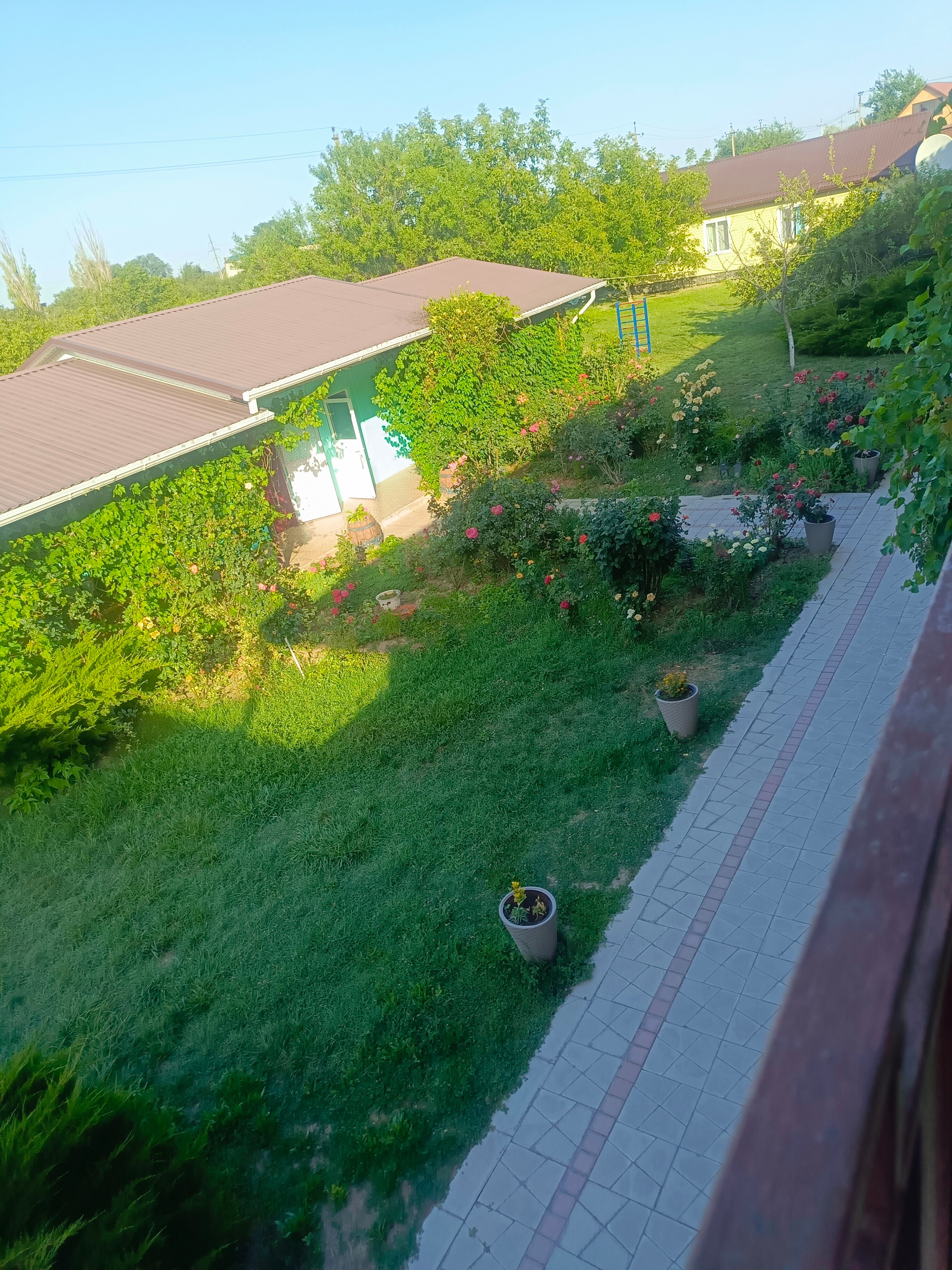 Фото Солнечная поляна