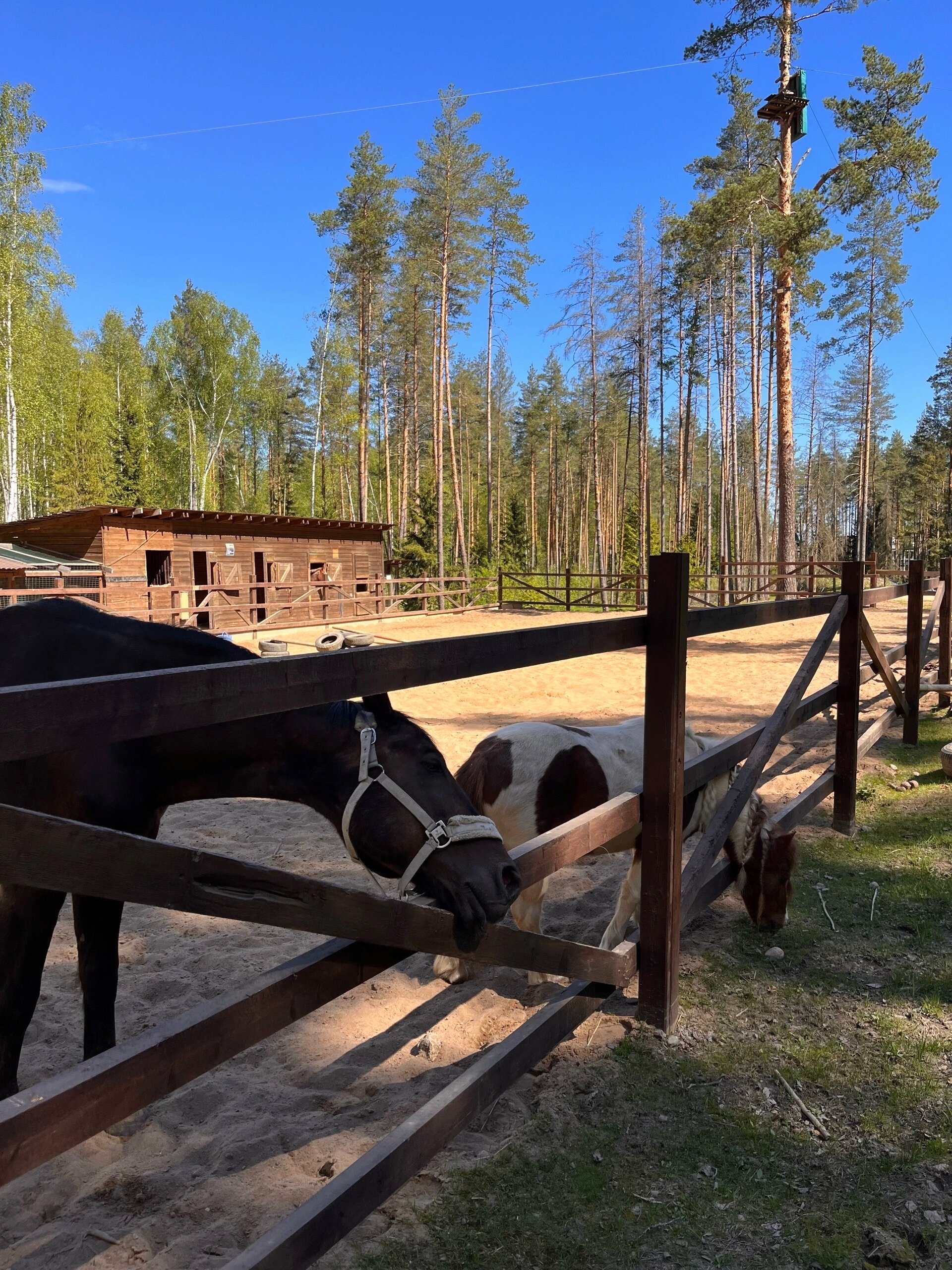 Фото Лайфклаб