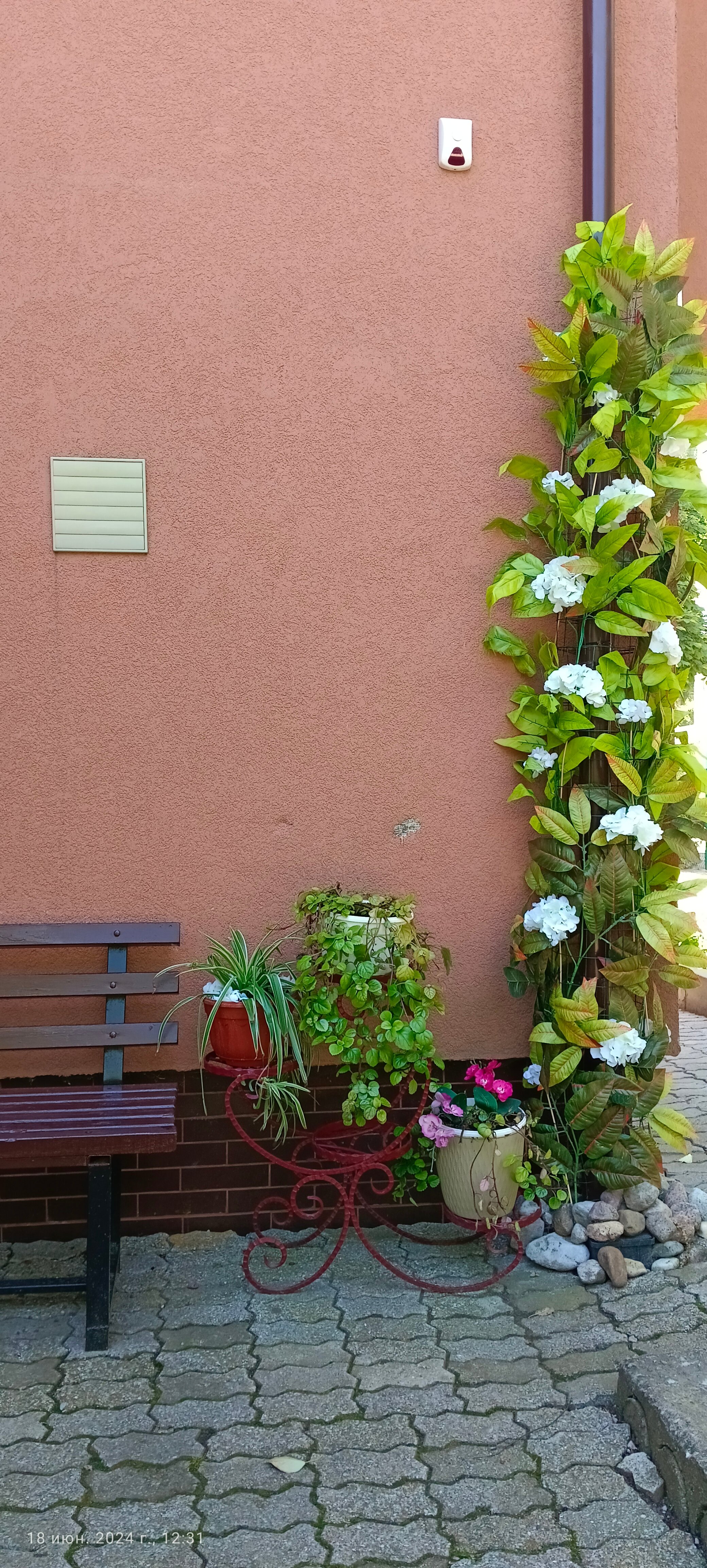 Фото Гестия