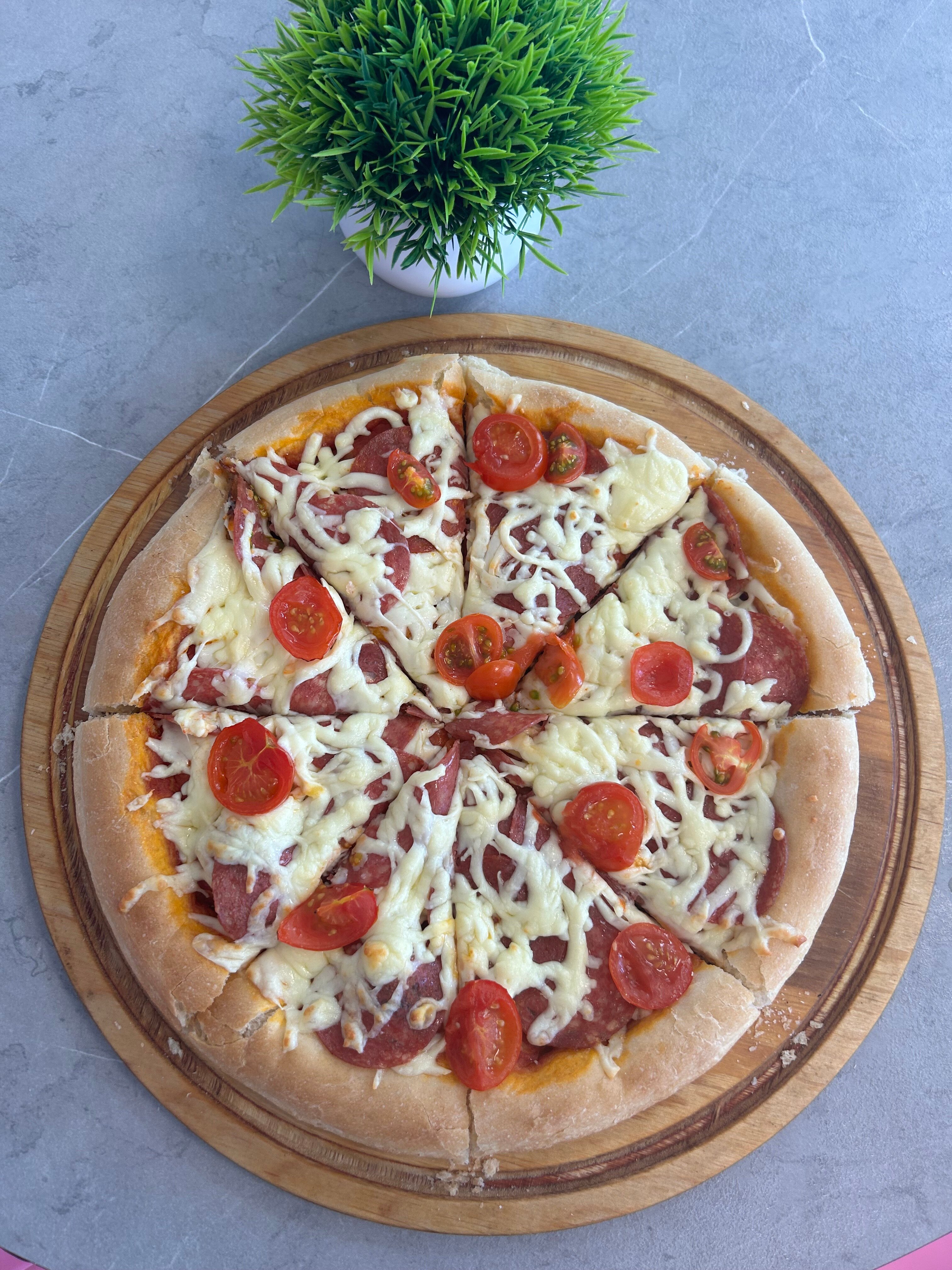 Фото Тортуга