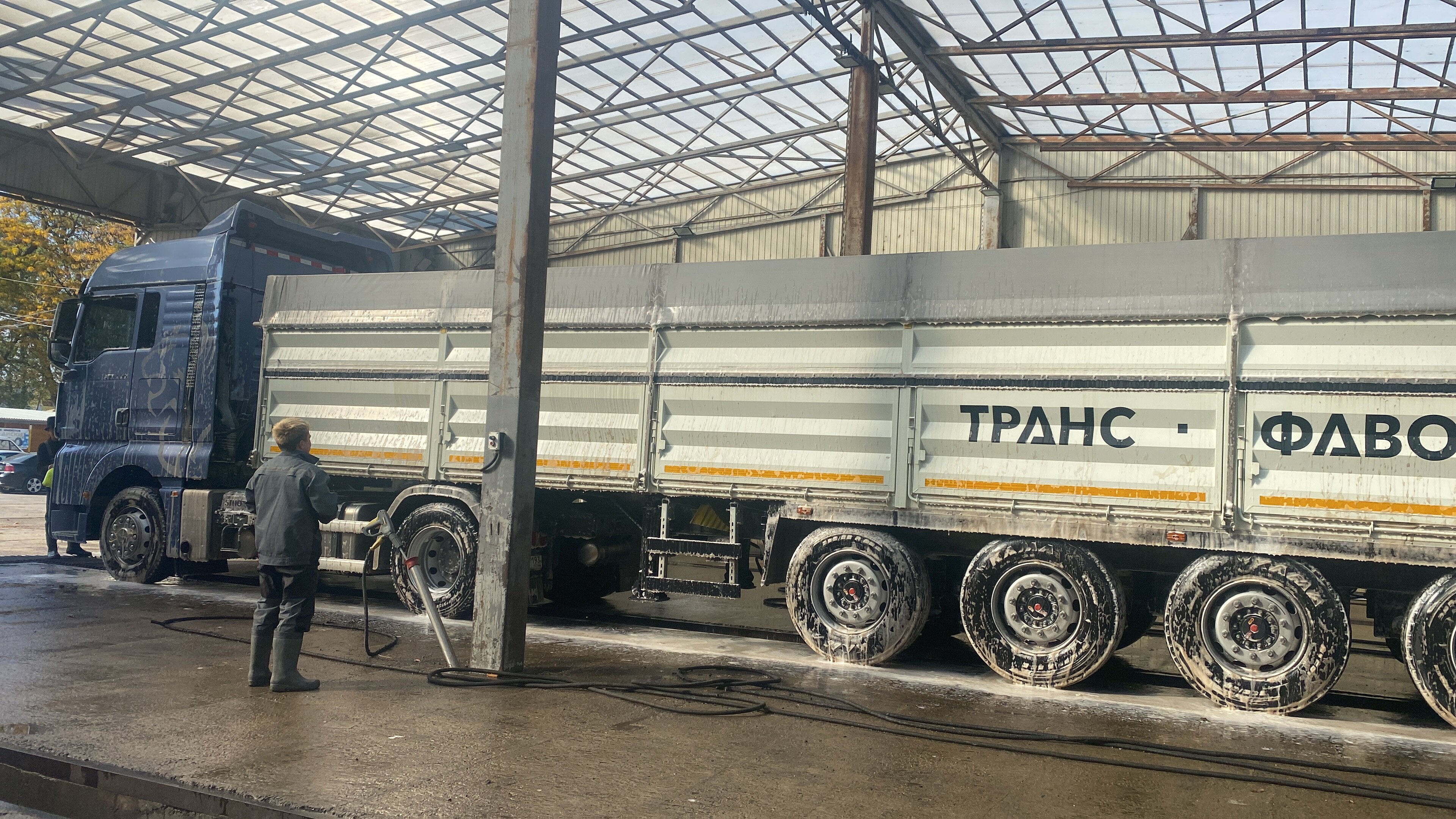 Порно семіз мүшесі