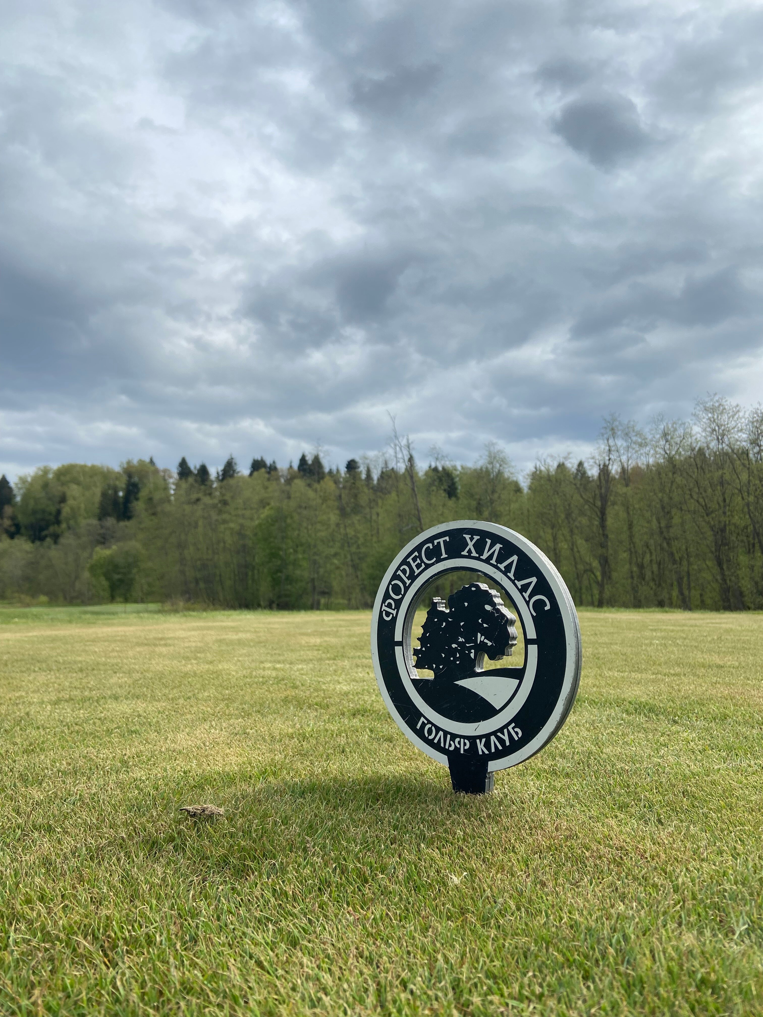 Фото Форест Хиллс