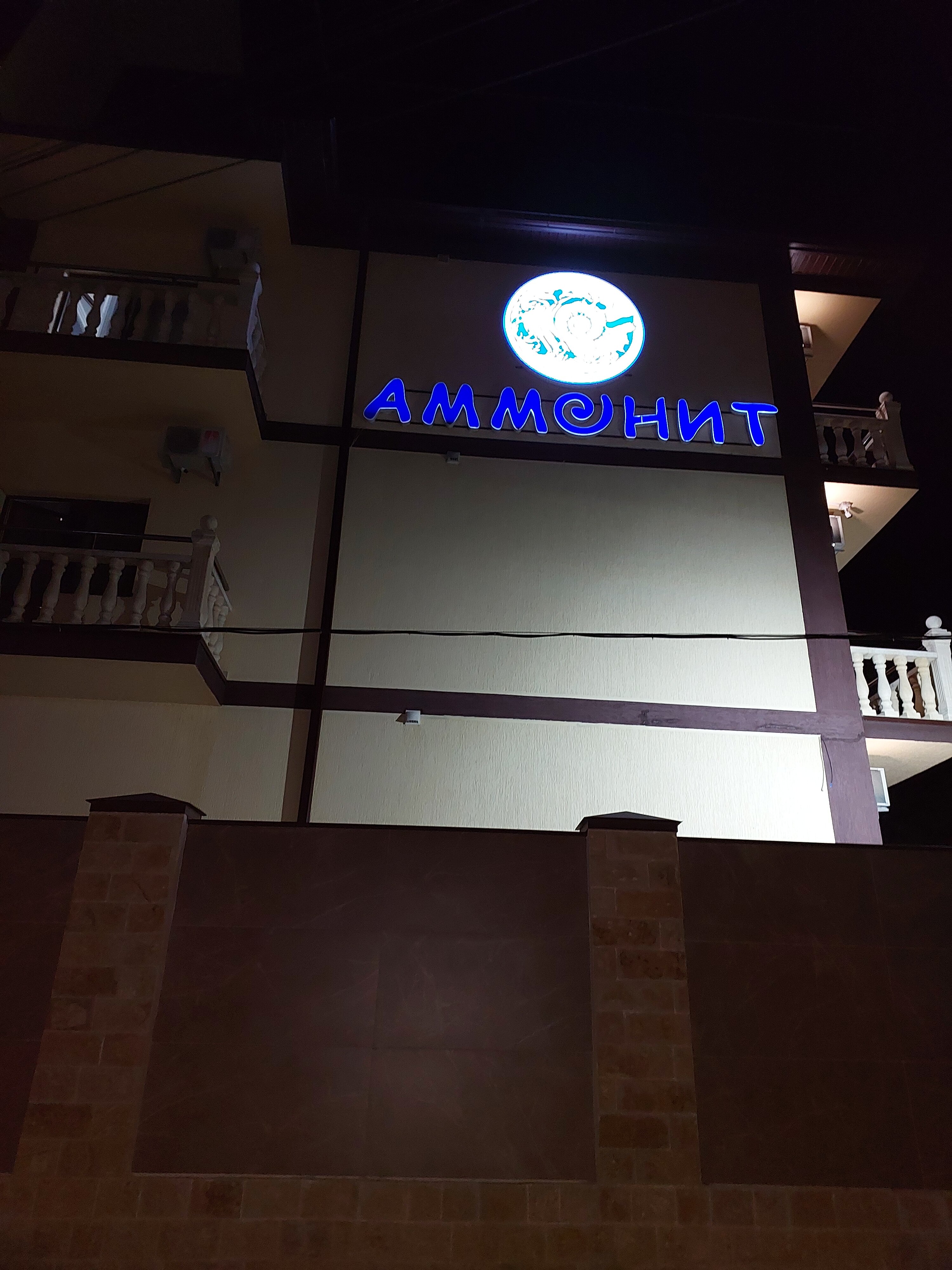 Фото Аммонит