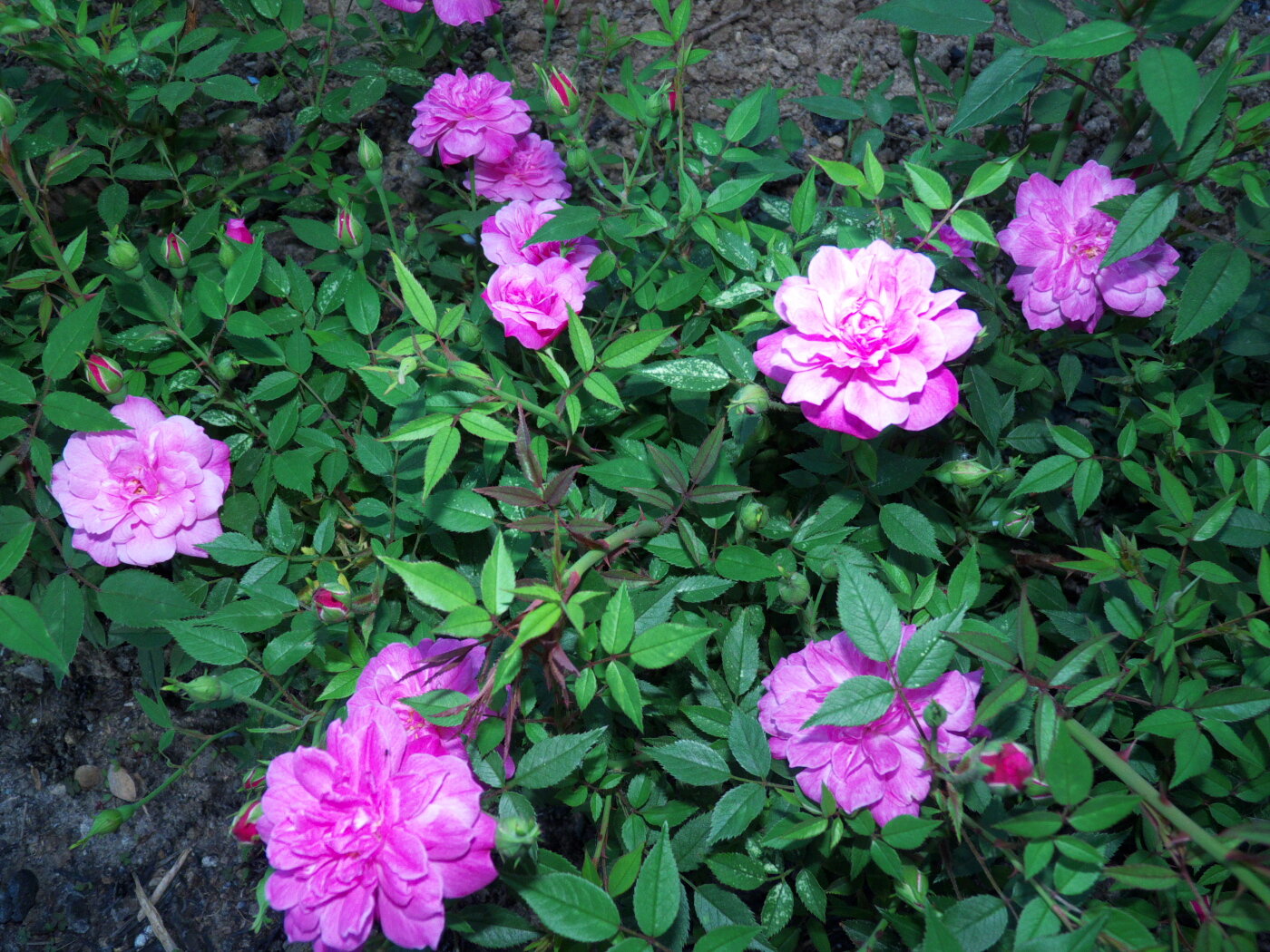 Фото МореНебоБерег