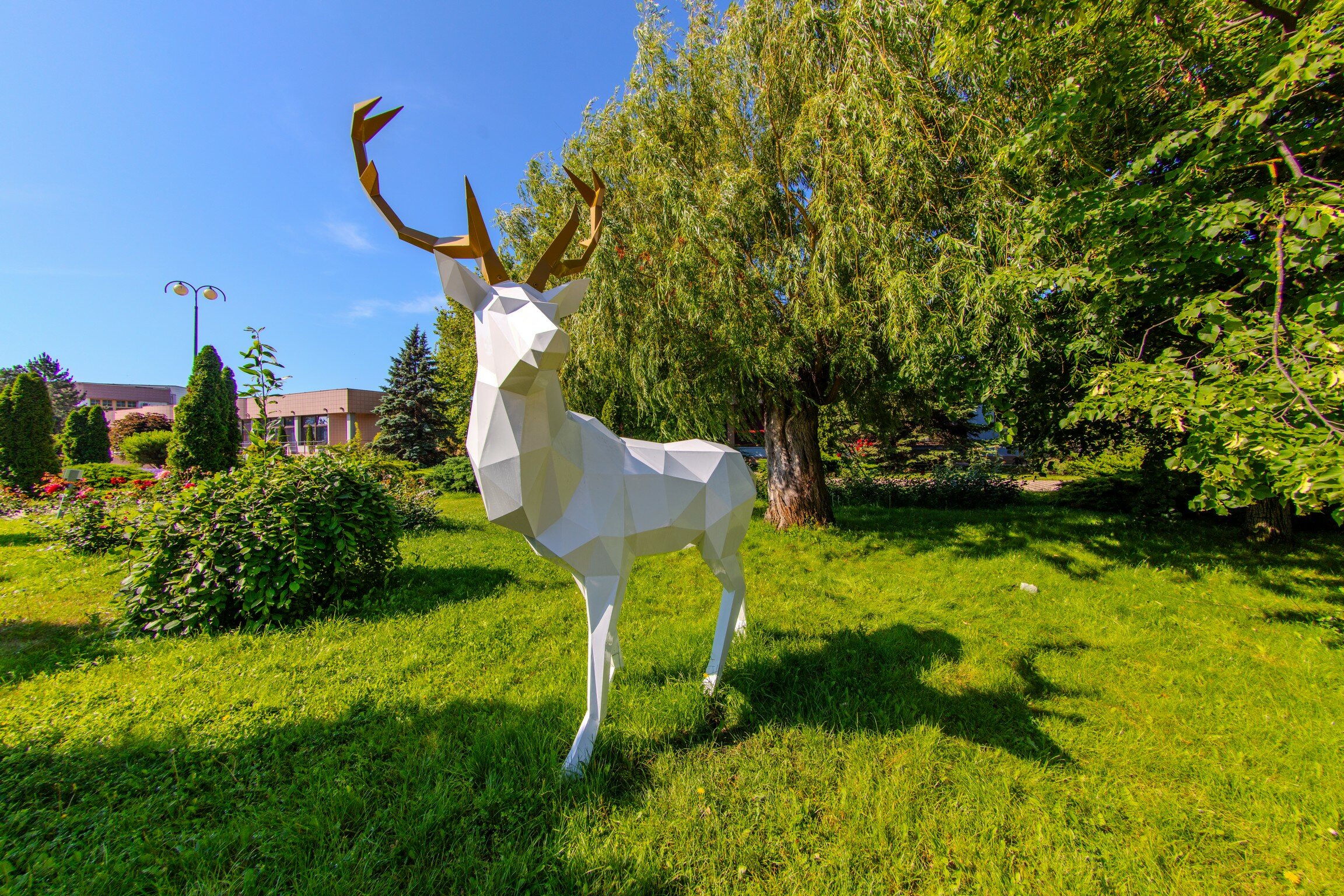 Фото Витязь