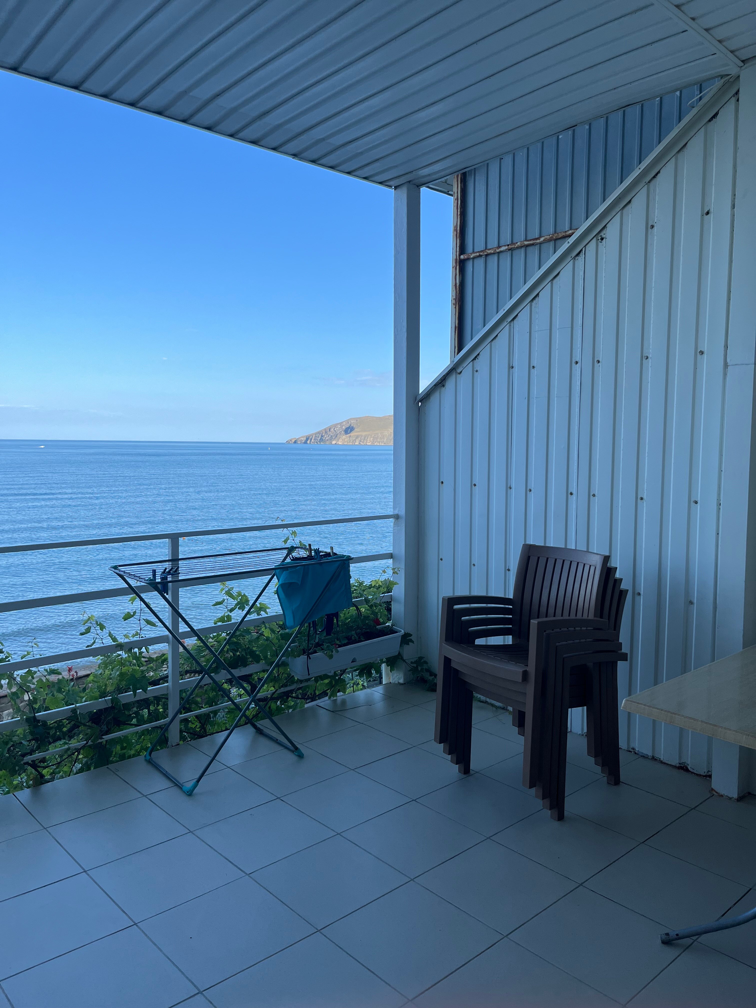 Фото Эллинг у Зои