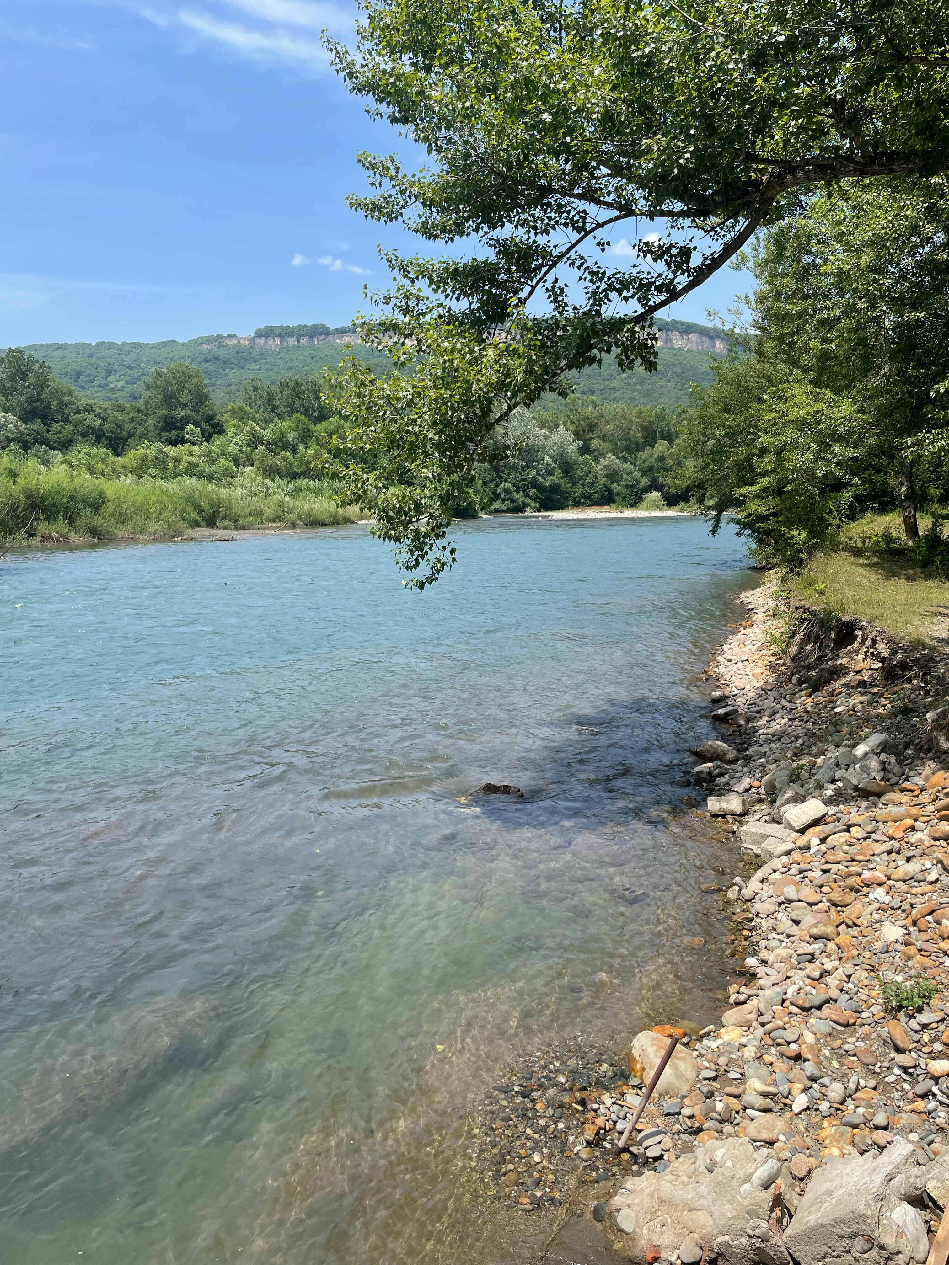 Фото Feshin Forest
